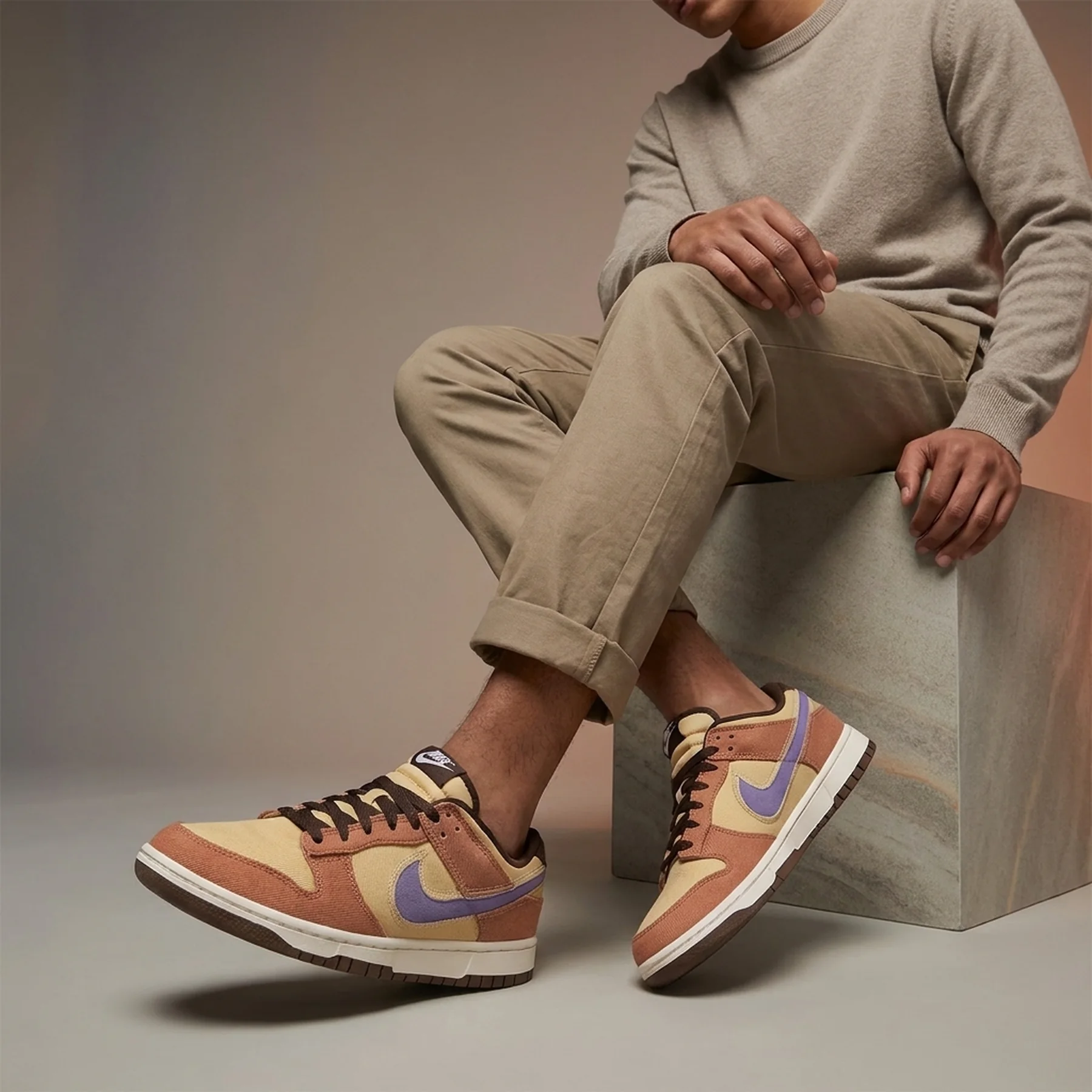 Кросівки чоловічі Nike Dunk Low Retro Se (HF3141-200)