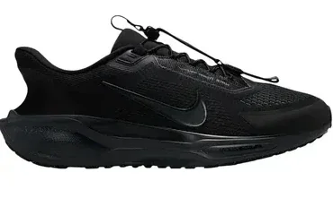 Кросівки чоловічі Nike Egasus Easyon (FQ7837-001)