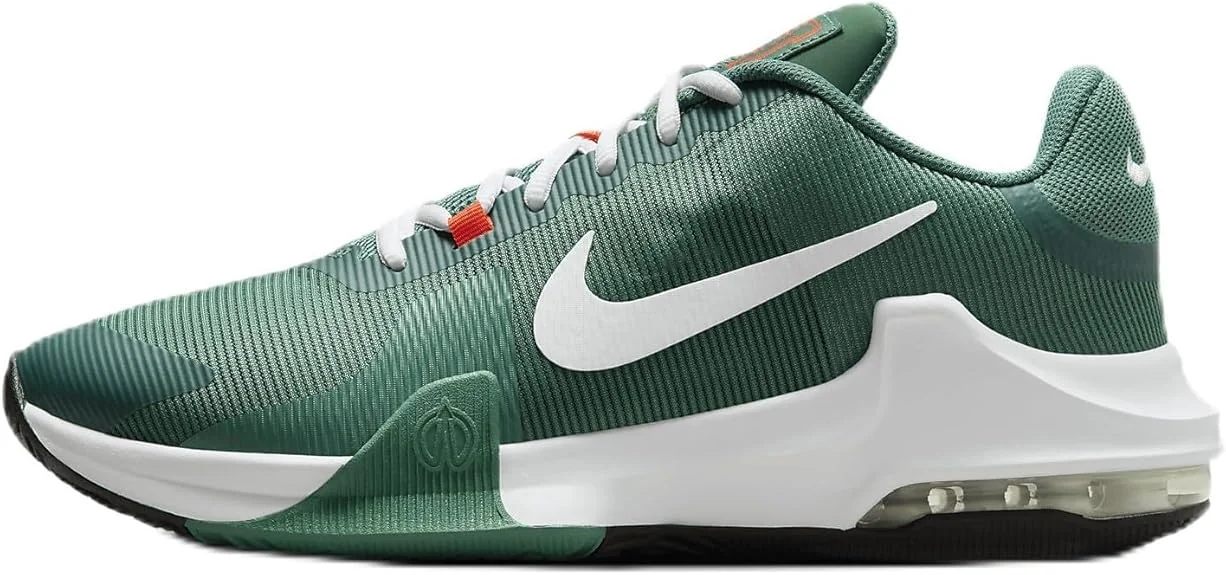 Кросівки чоловічі Nike Impact 4 (DM1124-300)
