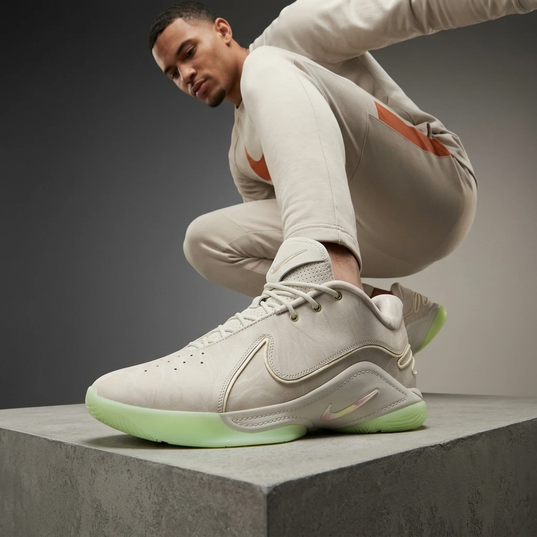 Кросівки чоловічі Nike Lebron Xxii (FZ1094-002)
