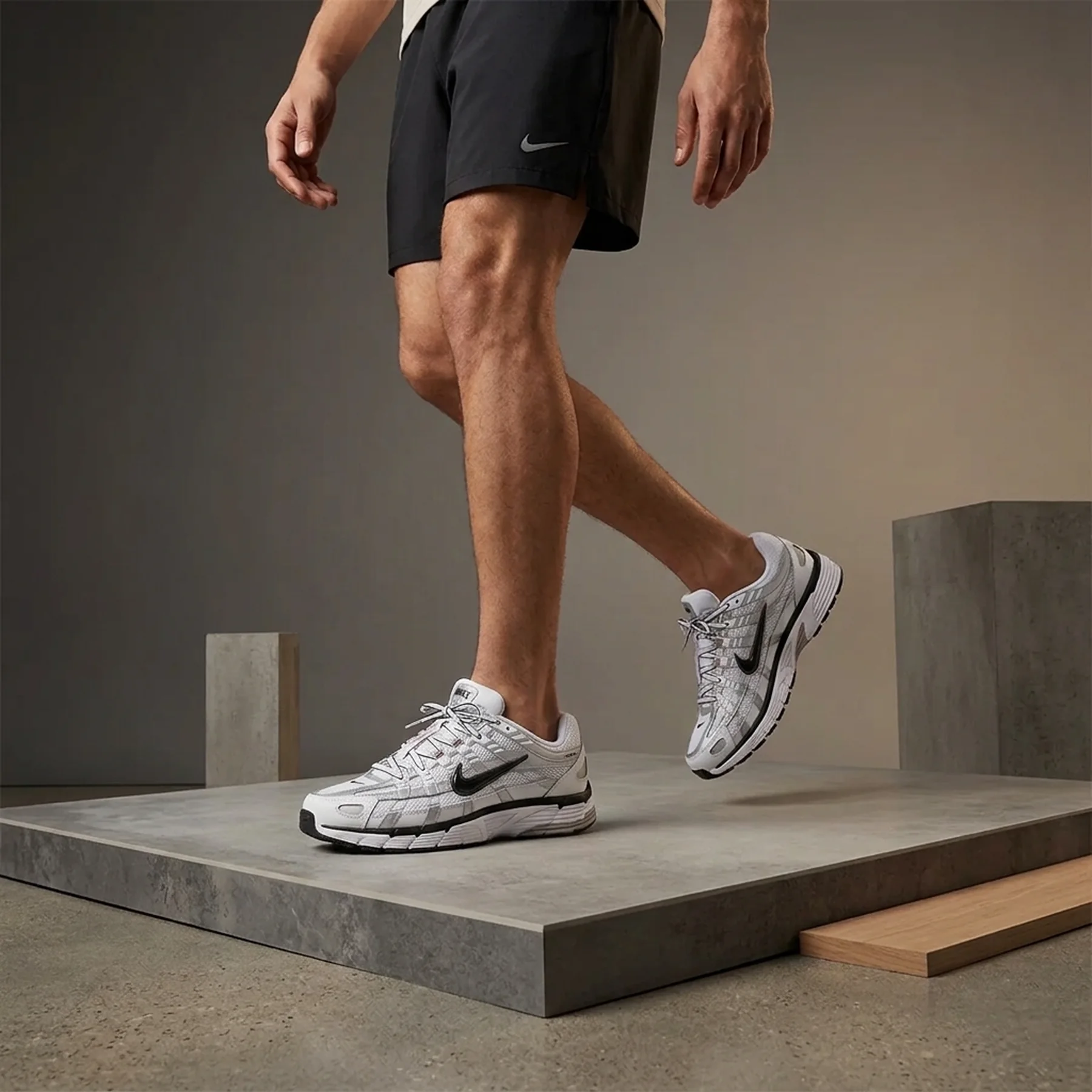 Кросівки чоловічі Nike P-6000 (CD6404-107)