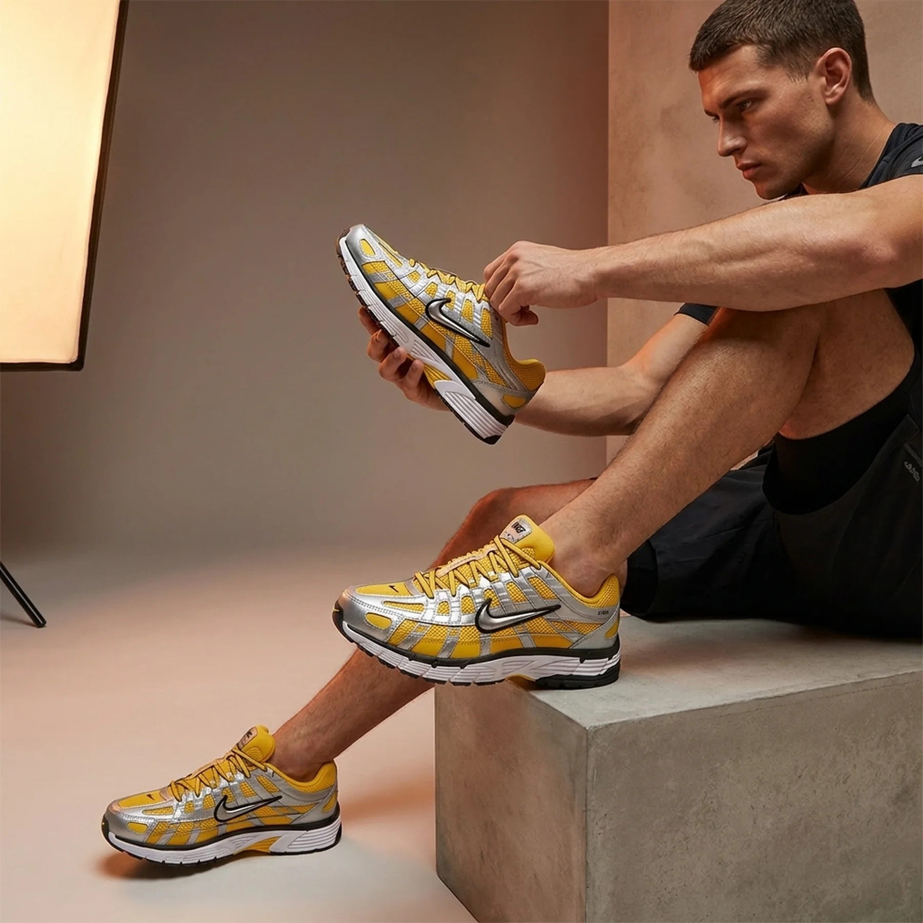 Кросівки чоловічі Nike P-6000 (CD6404-701)