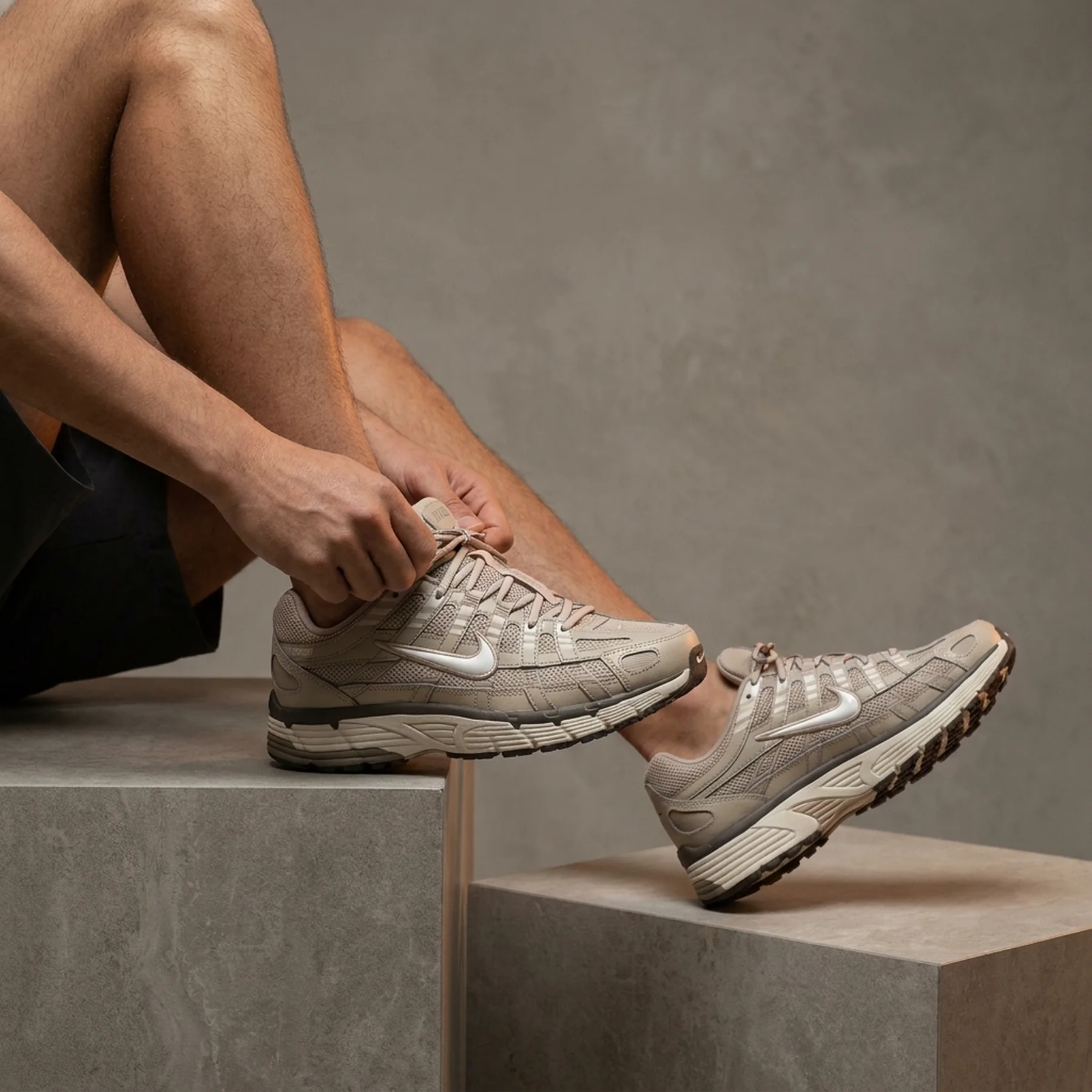 Кросівки чоловічі Nike P-6000 (FZ4137-200)