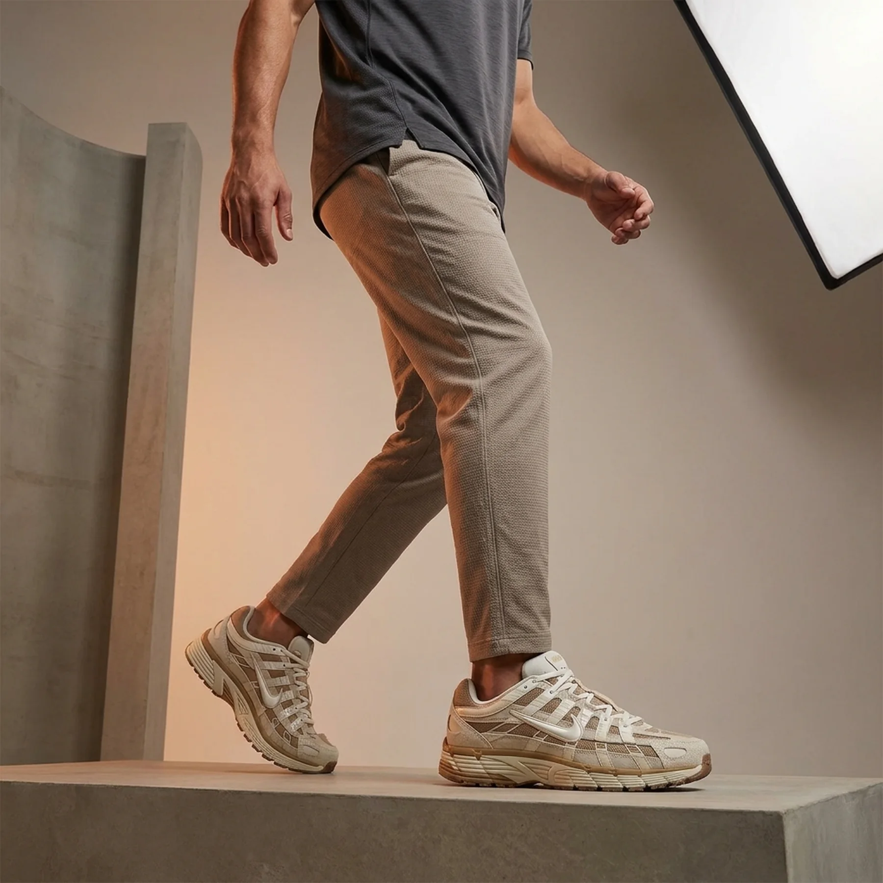 Кросівки чоловічі Nike P-6000 "Light Orewood Brown/Khaki/Sesame/Phantom" (HV2528-100)