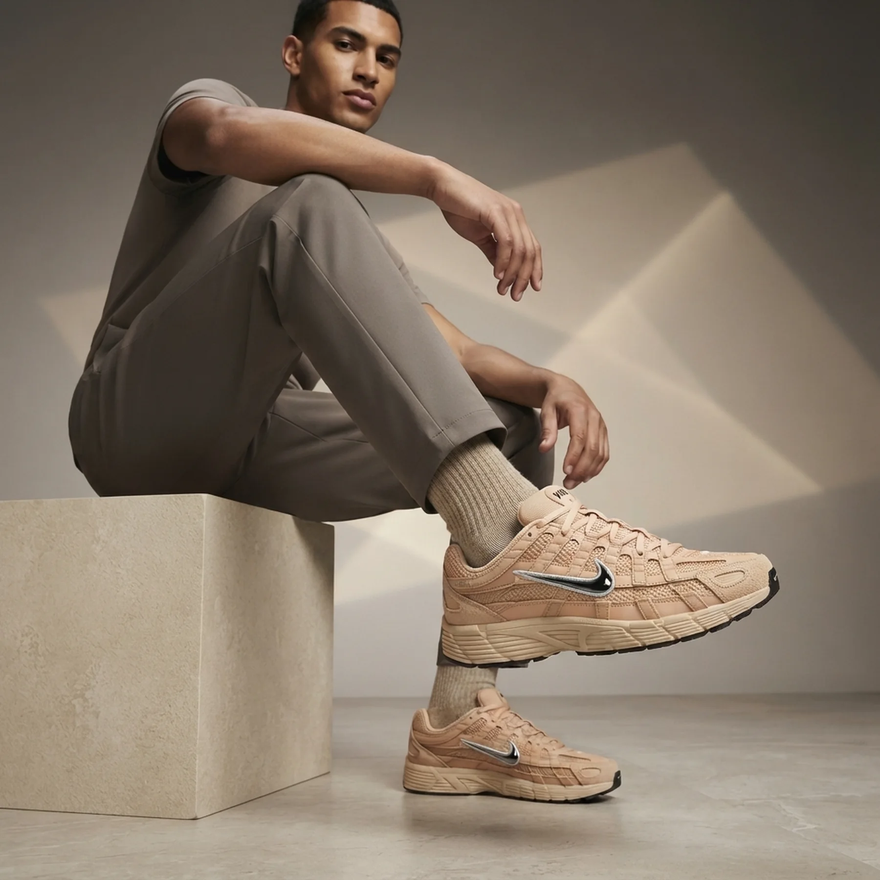 Кросівки чоловічі Nike P-6000 Se (HF0015-202)