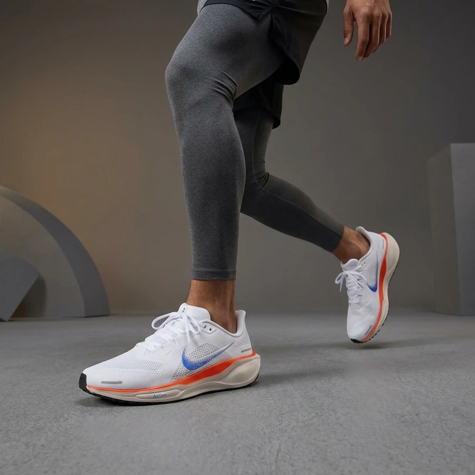 Кросівки чоловічі Nike Pegasus 41 Blueprint Straßenlaufschuh White (HF0013-900)