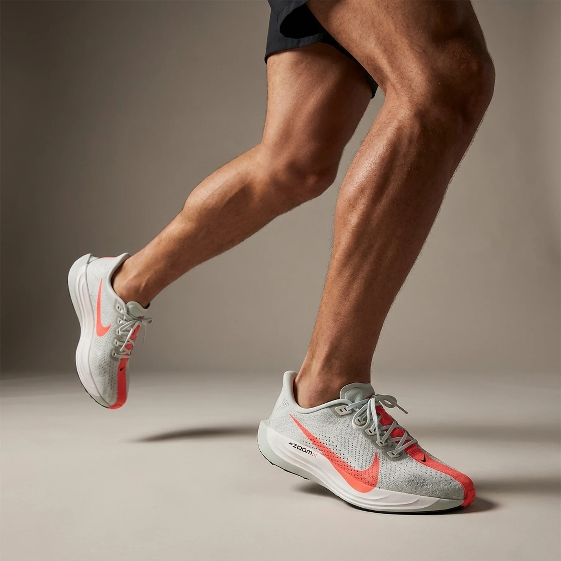 Кросівки чоловічі Nike Pegasus Plus (FQ7262-001)