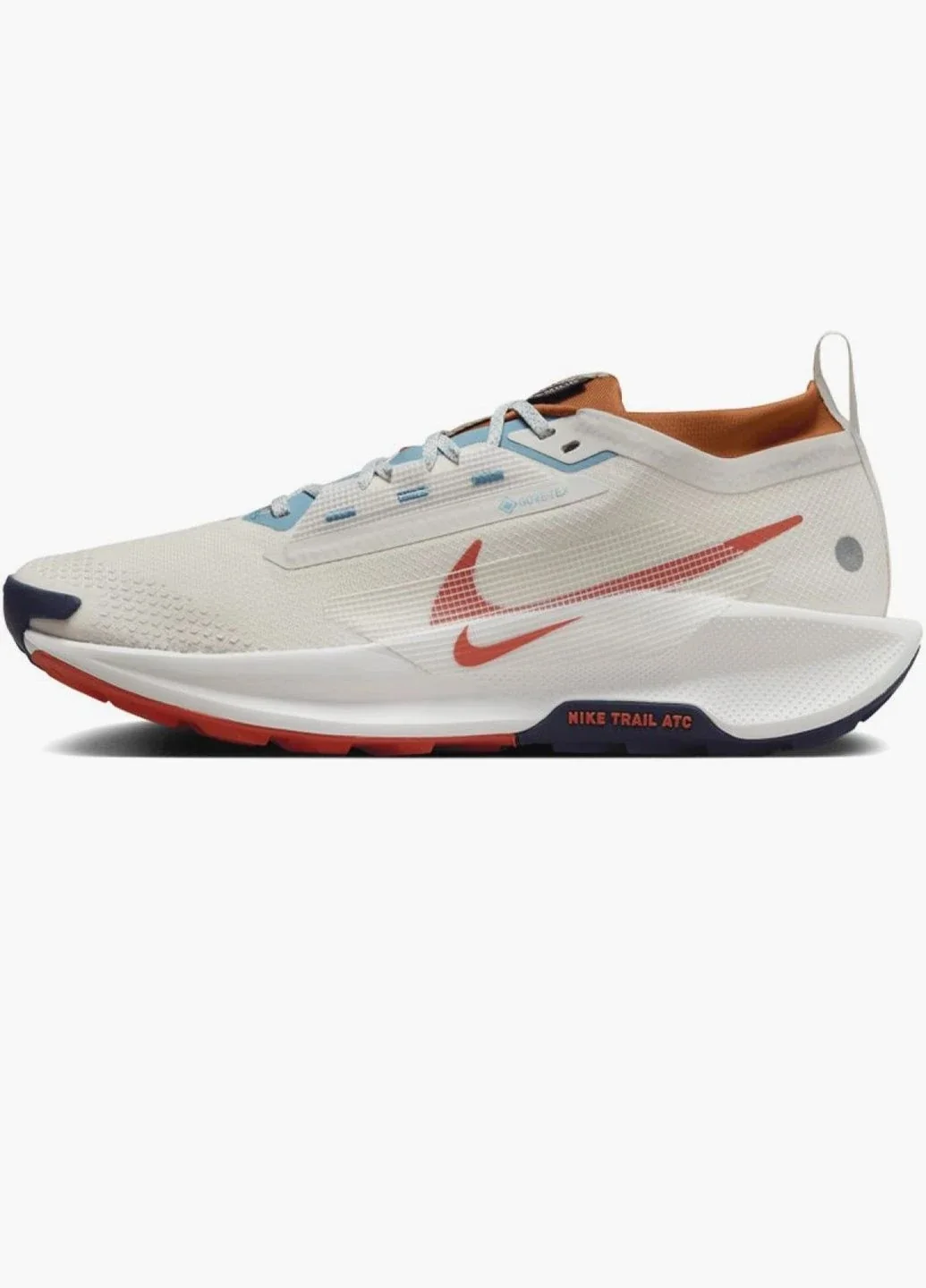 Кросівки чоловічі Nike Pegasus Trail 5 Gtx (FQ0908-003)