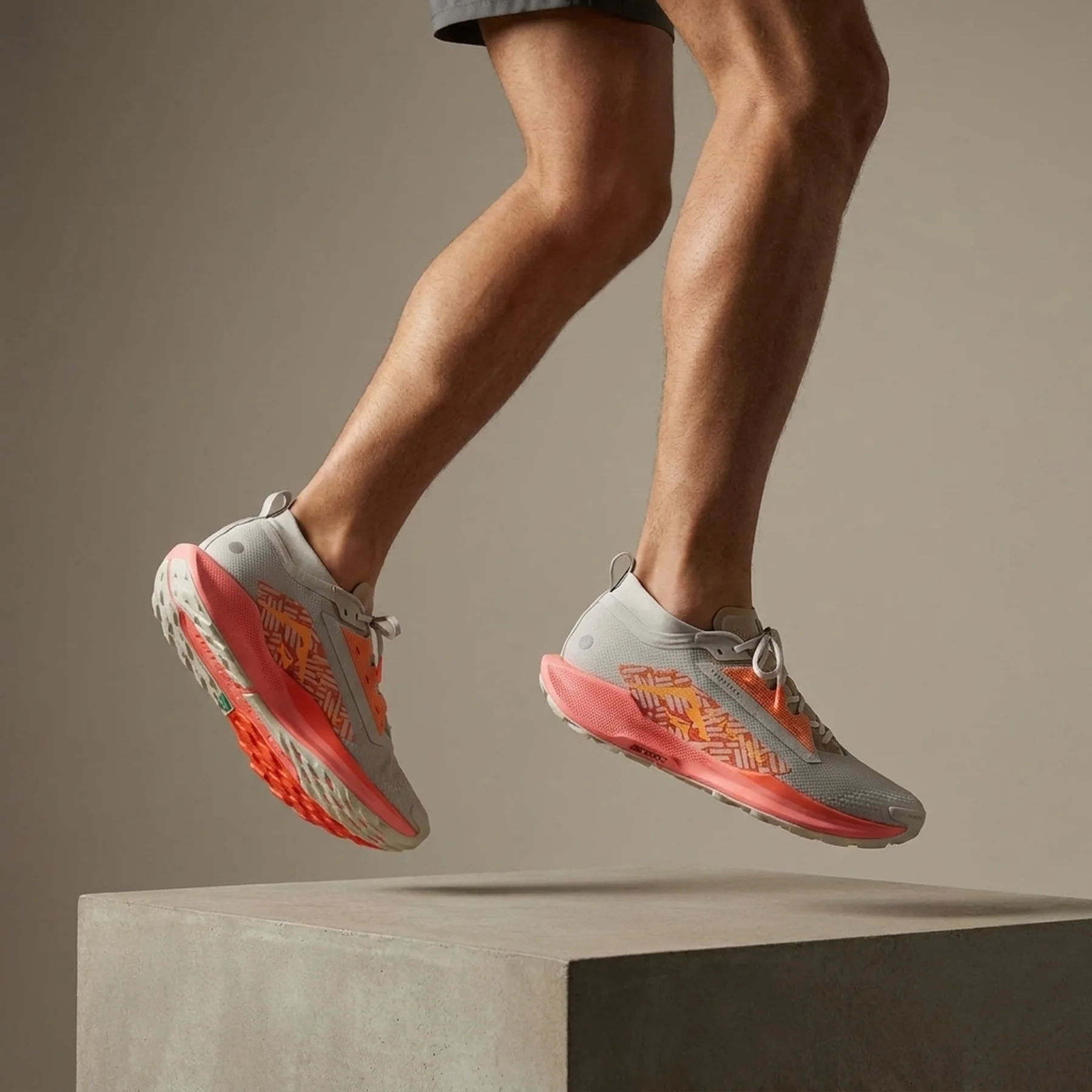 Кросівки чоловічі Nike Pegasus Trail 5 Gtx (FQ0908-004)
