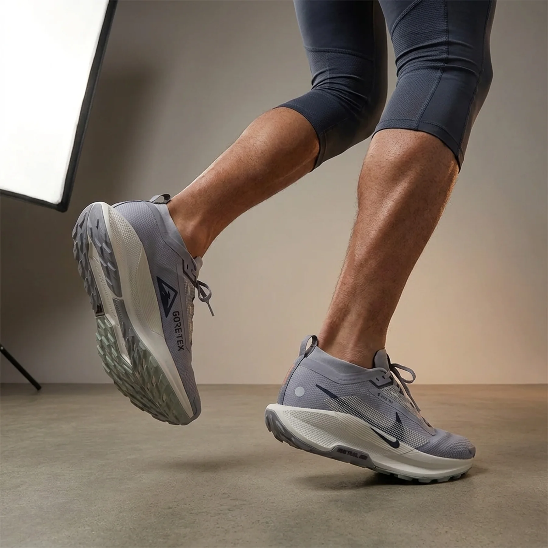 Кросівки чоловічі Nike Pegasus Trail 5 Gtx (FQ0908-006)