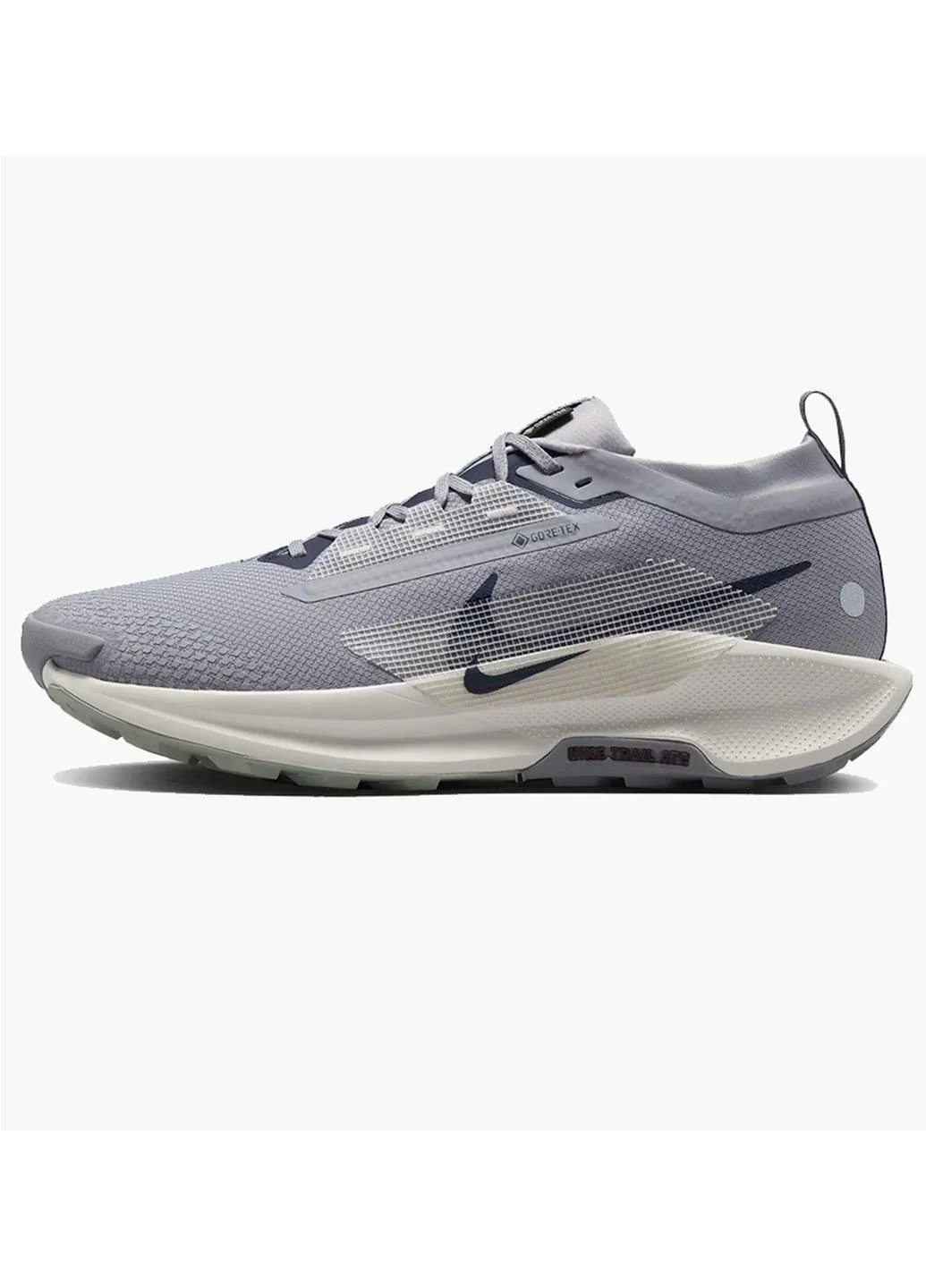 Кросівки чоловічі Nike Pegasus Trail 5 Gtx (FQ0908-006)