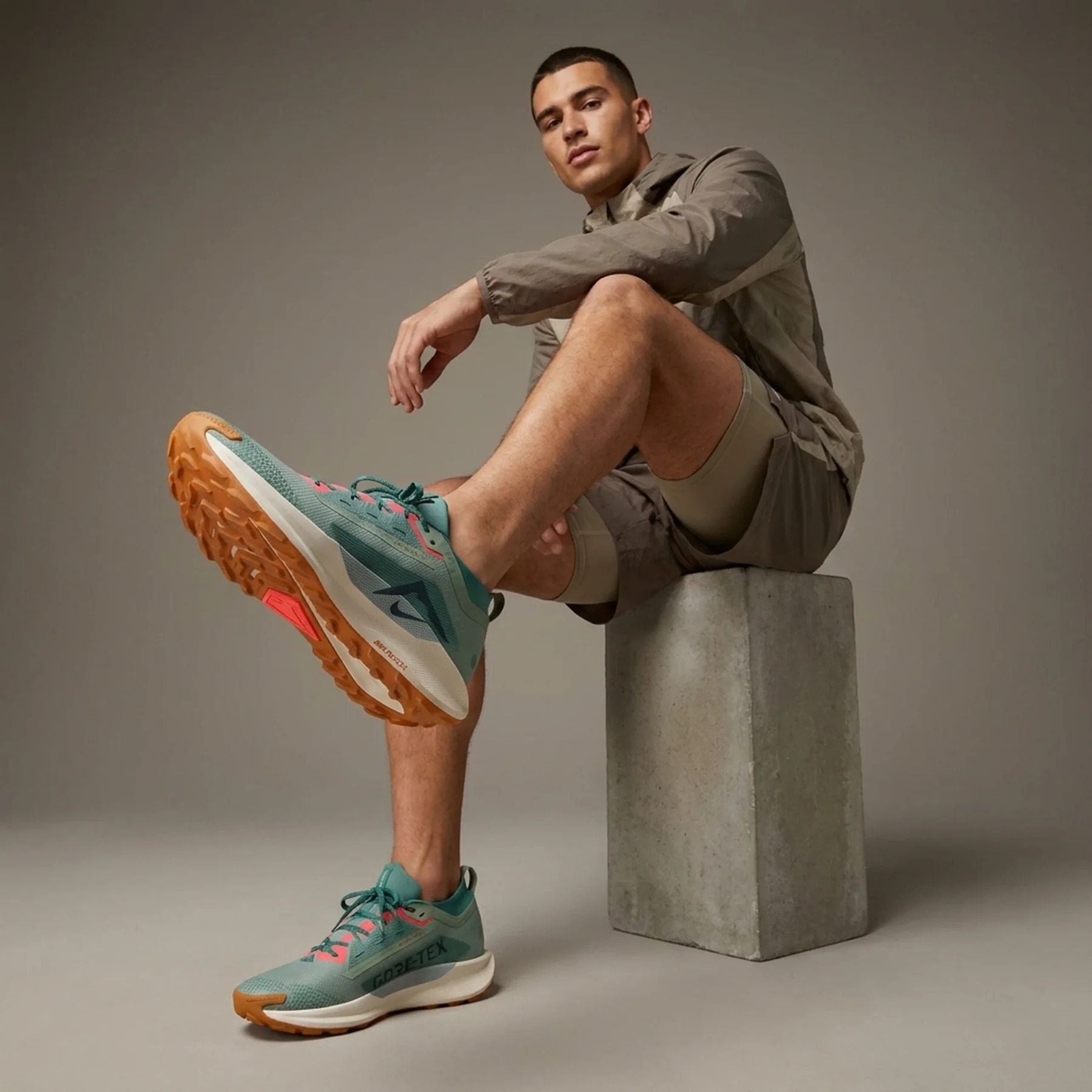 Кросівки чоловічі Nike Pegasus Trail 5 Gore-Tex (FQ0908-300)