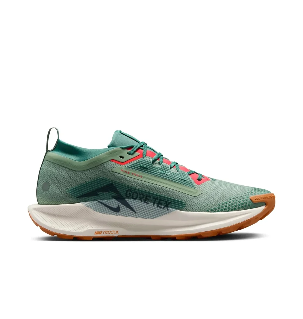 Кросівки чоловічі Nike Pegasus Trail 5 Gore-Tex (FQ0908-300)