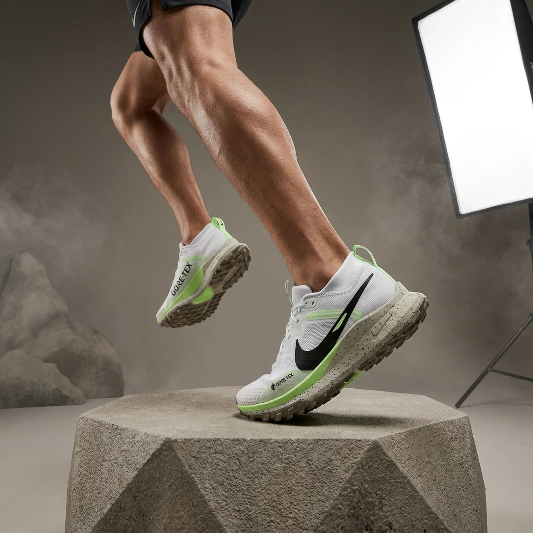 Кросівки чоловічі Nike Pegasus Trail 5 Gtx White (FQ0908-102)