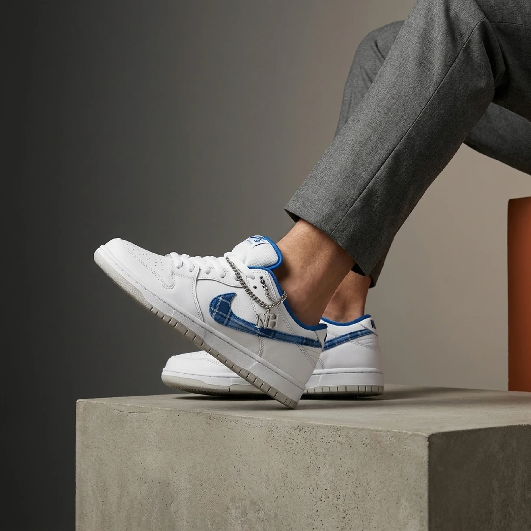 Кросівки чоловічі Nike Sb Dunk Low Pro (FZ8802-100)