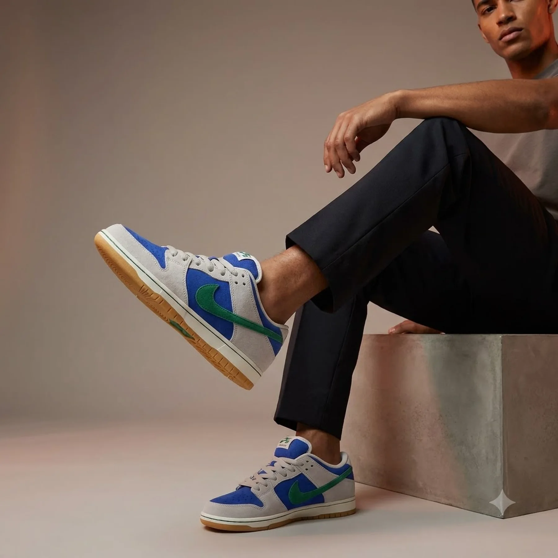 Кросівки чоловічі Nike Sb Dunk Low Pro (HF3704-001)