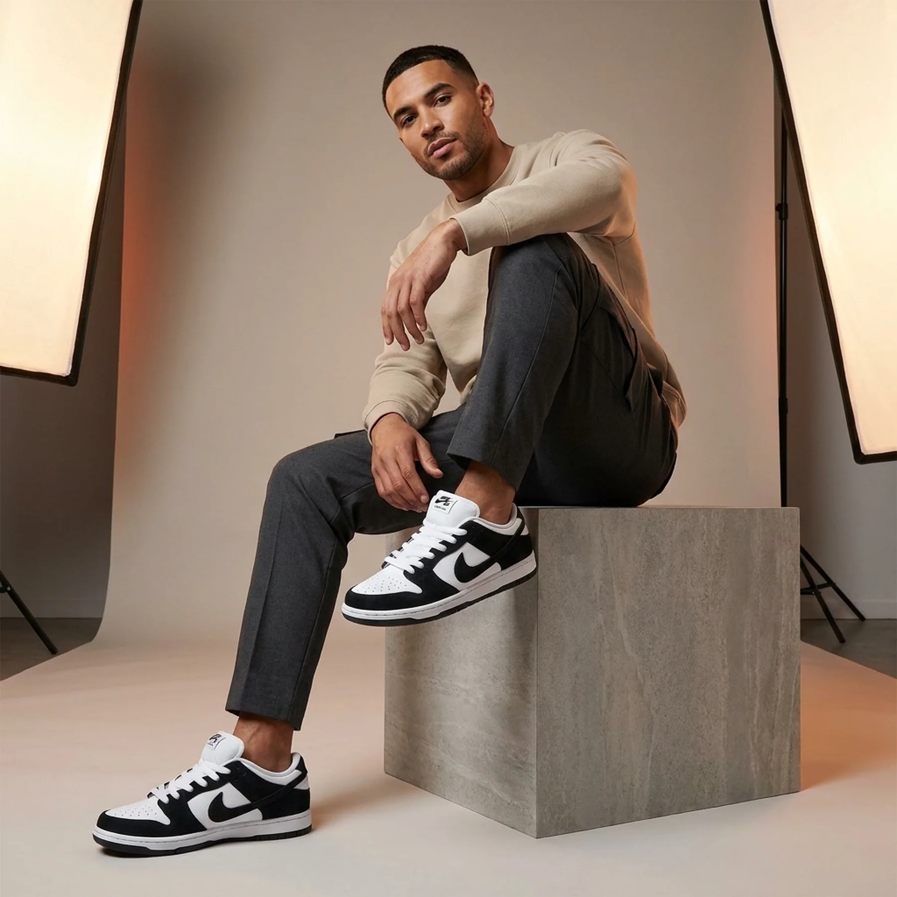 Кросівки чоловічі Nike Sb Dunk Low Pro (HF3704-100)