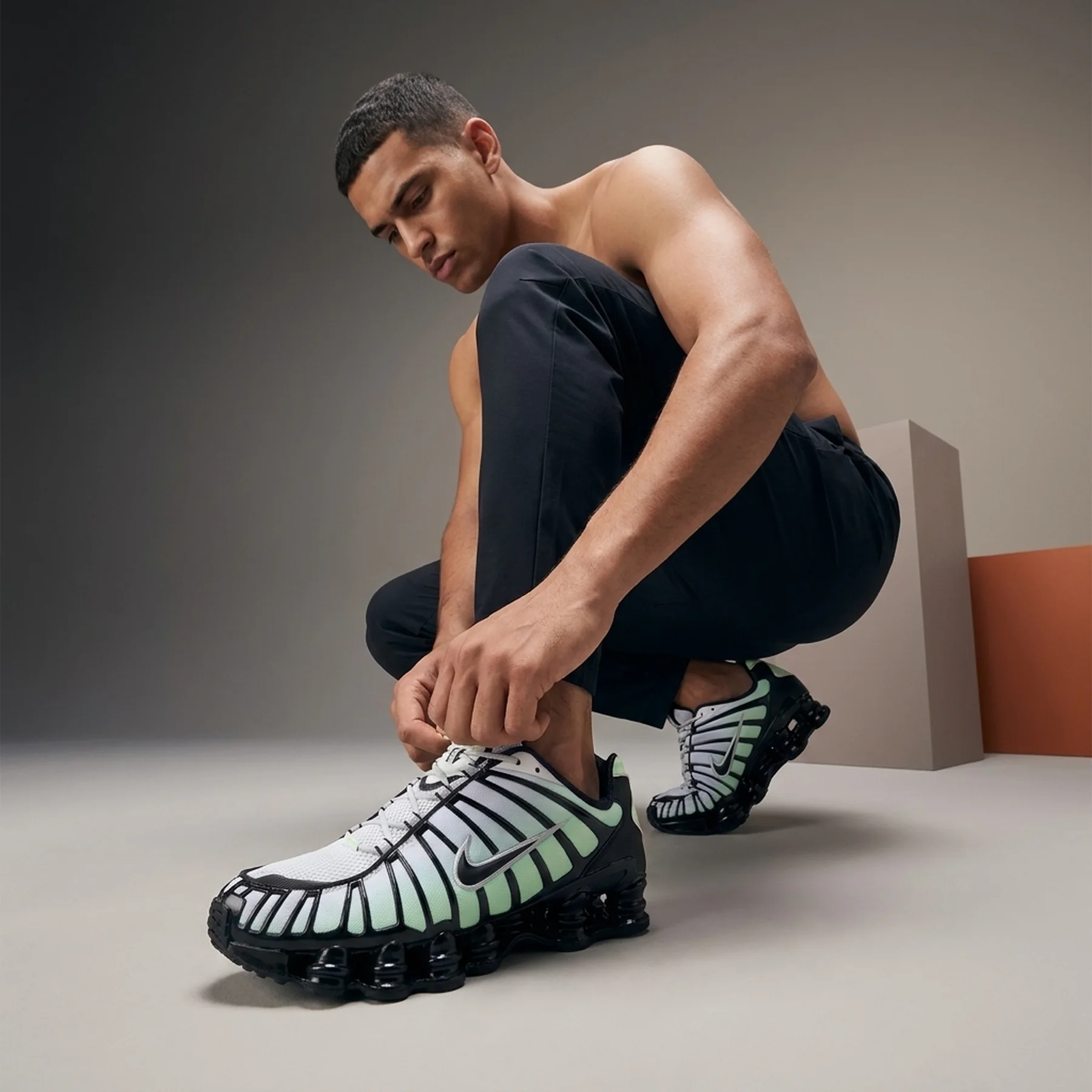 Кросівки чоловічі Nike Shox Tl Vapor (AV3595-300)