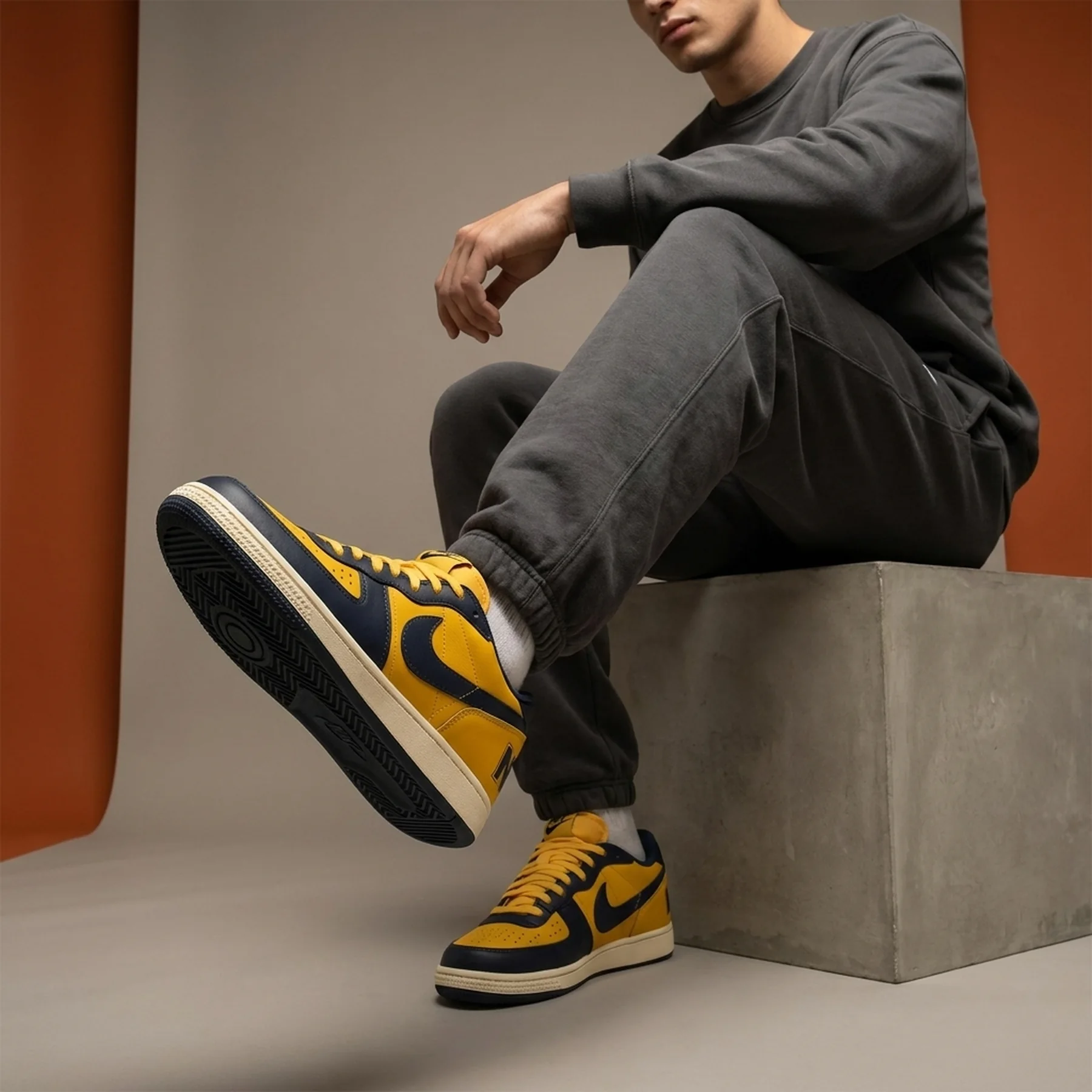 Кросівки чоловічі Nike Terminator Low Og (FJ4206-700)