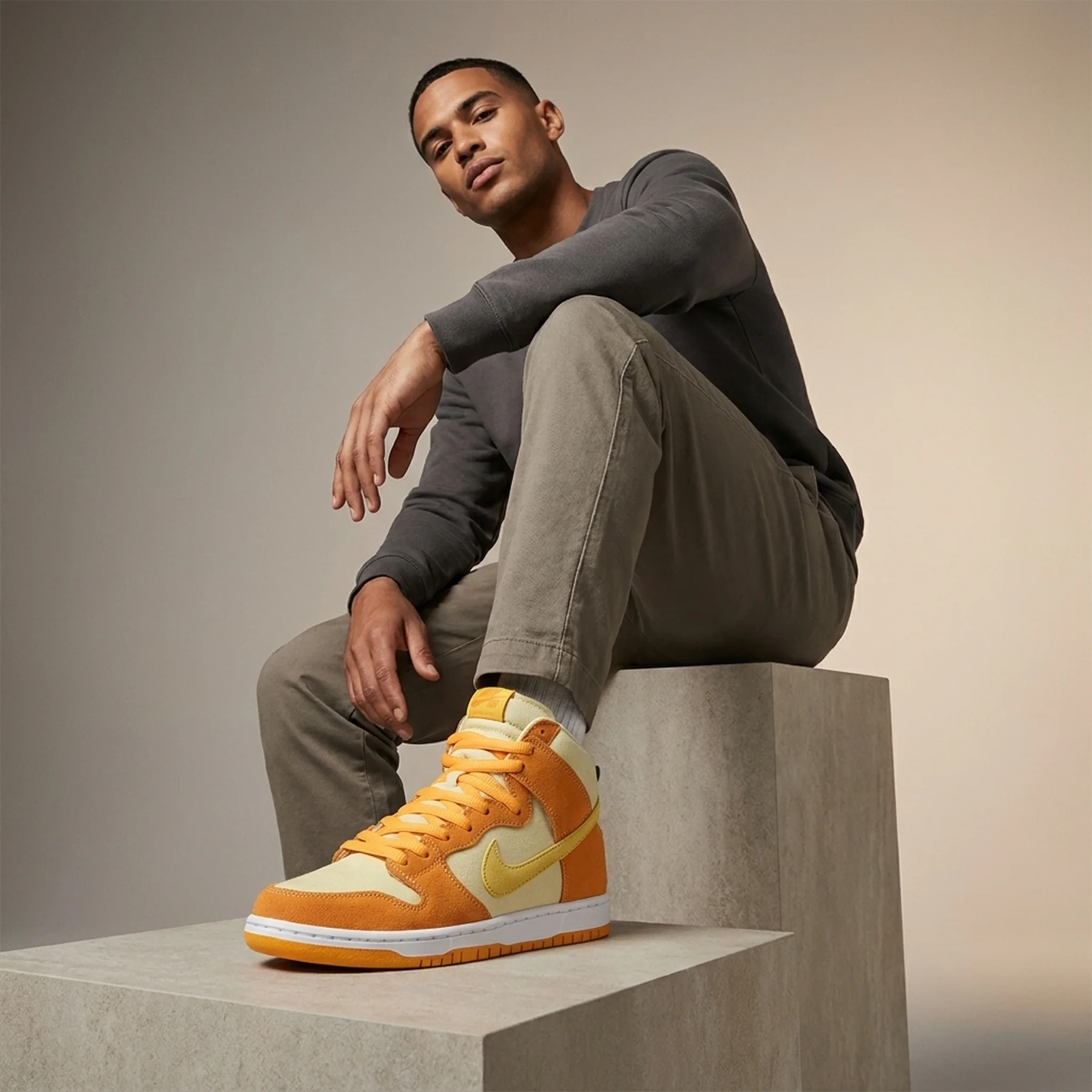 Кросівки чоловічі Nike The Sb Dunk High (DM0808-700)