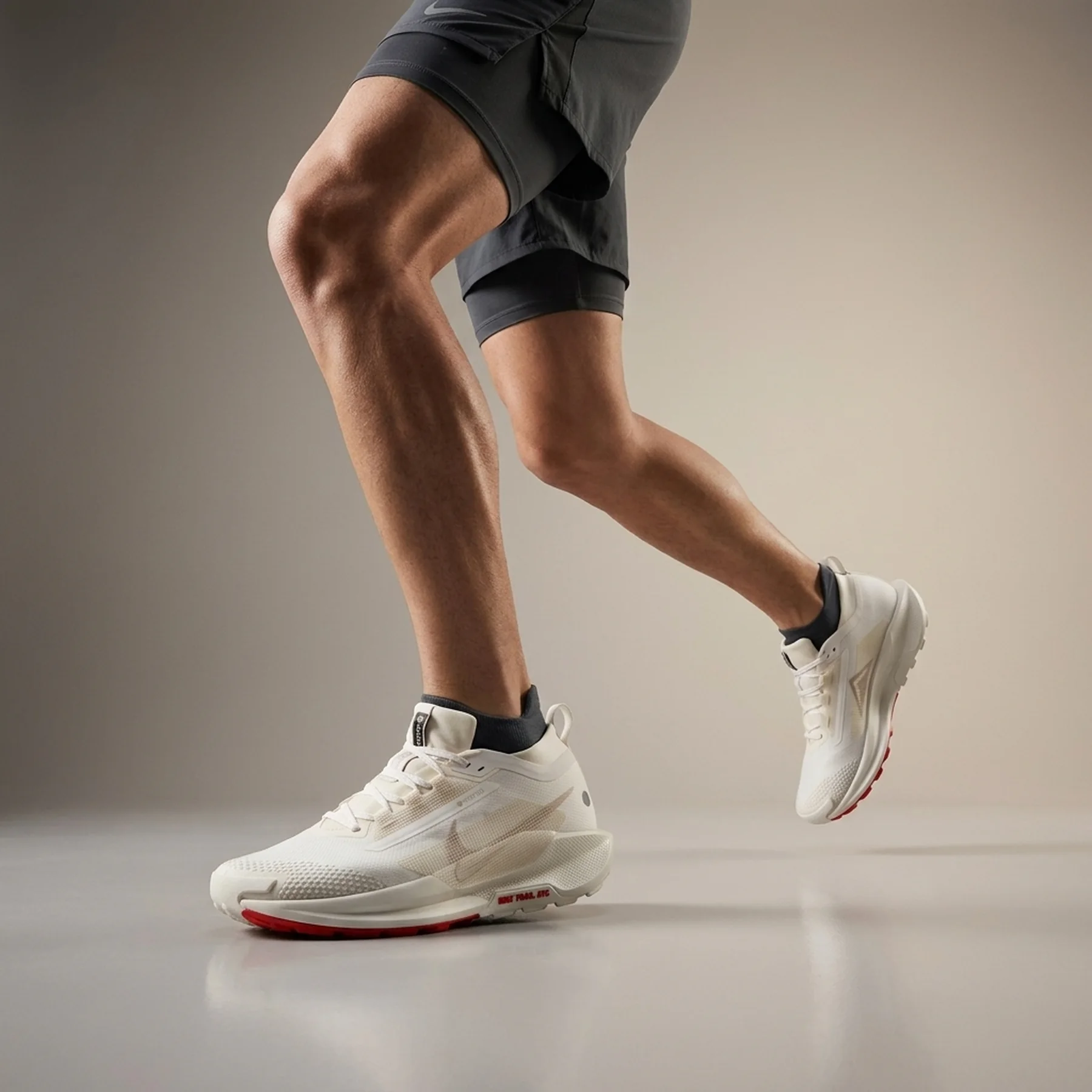 Кросівки чоловічі Nike Trail 5 Gore-Tex (FQ0908-100)
