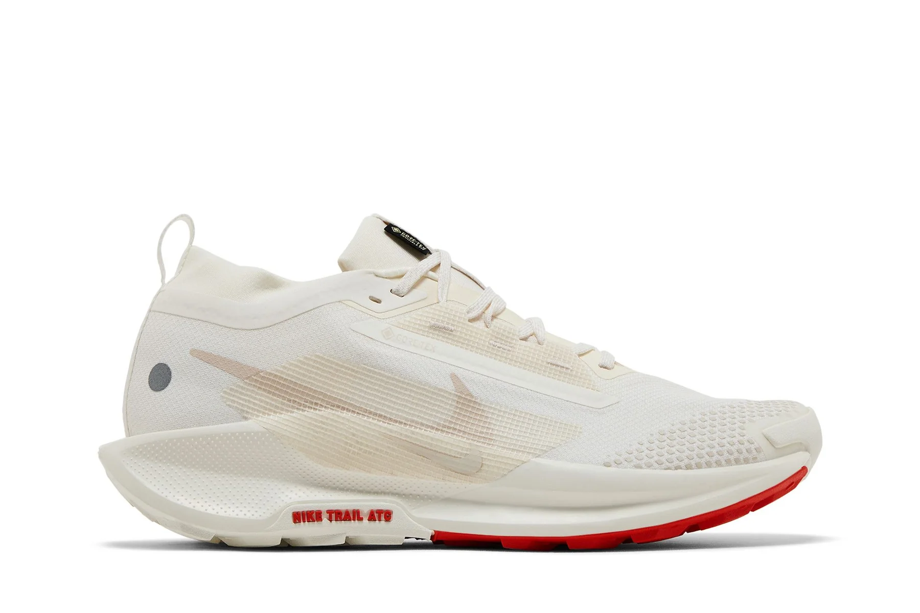 Кросівки чоловічі Nike Trail 5 Gore-Tex (FQ0908-100)