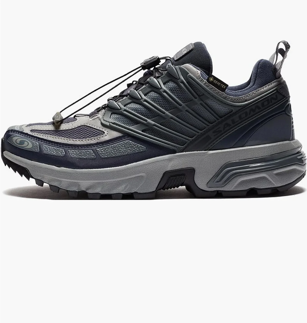 Кросівки чоловічі Salomon Advanced　Xa Pro 3D Gtx (L47599500)
