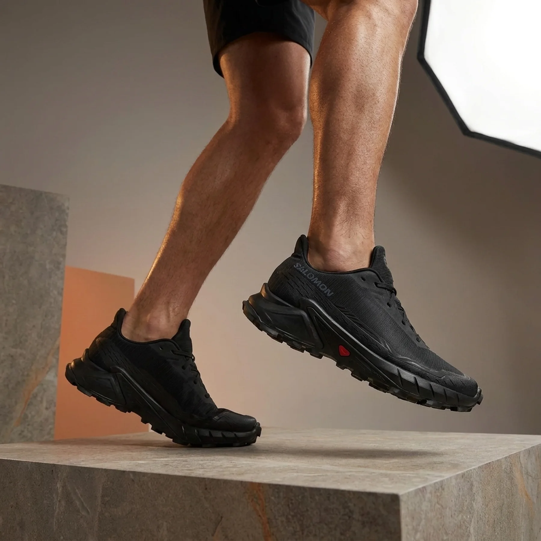 Кросівки чоловічі Salomon Alphacross 5 (473131)