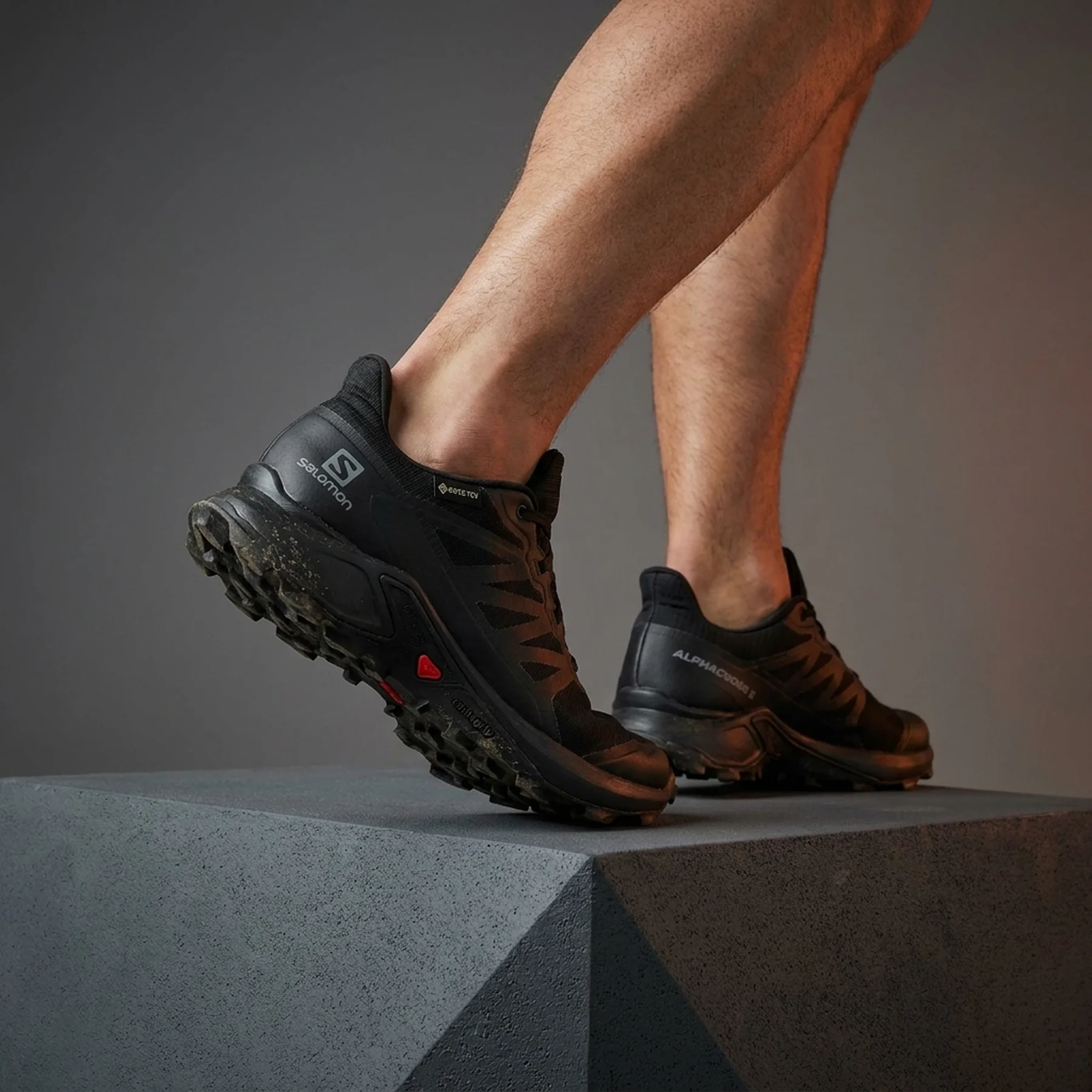 Кросівки чоловічі Salomon Alphacross 5 Gore-Tex (L47307500)