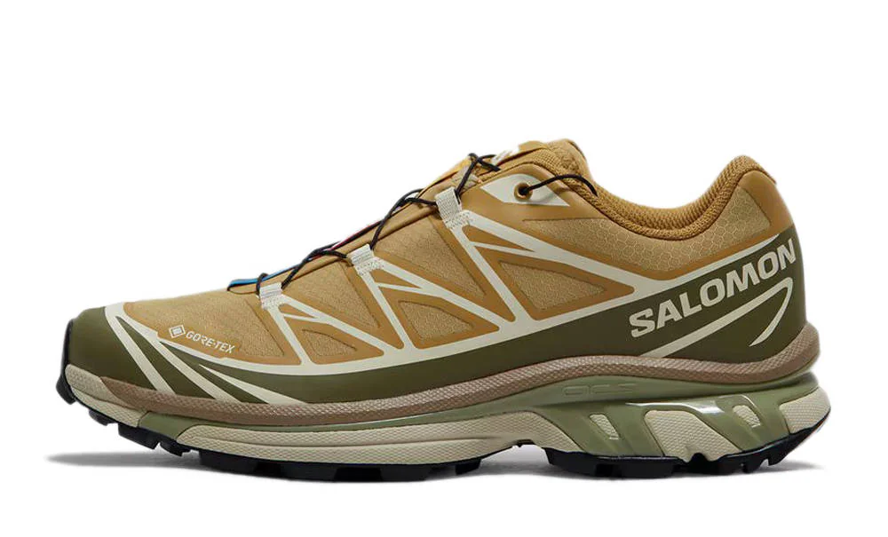 Кросівки чоловічі Salomon XT-6 GORE-TEX 'Antelope Portabella'