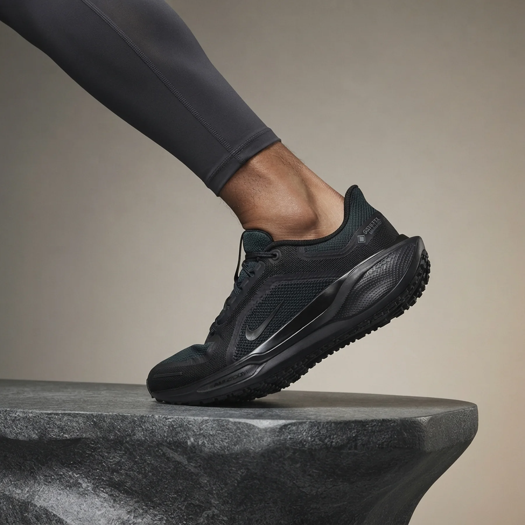 Кросівки для бігу чоловічі Nike Air Zoom Pegasus 41 Gore-Tex (FQ1356-001)