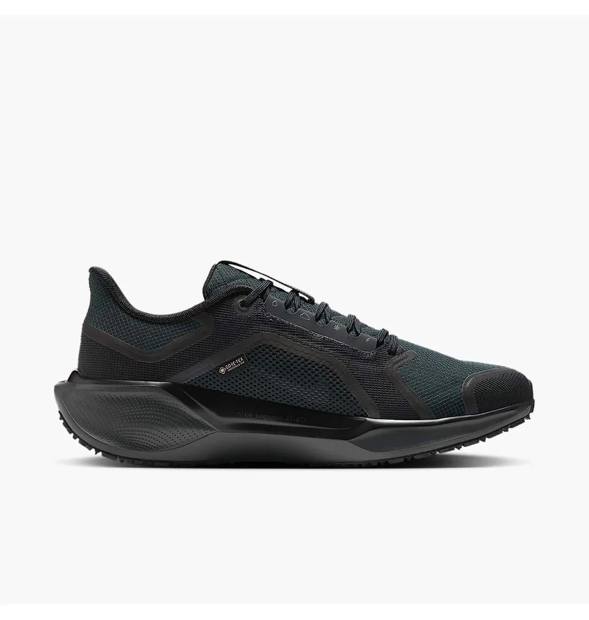 Кросівки для бігу чоловічі Nike Air Zoom Pegasus 41 Gore-Tex (FQ1356-001)