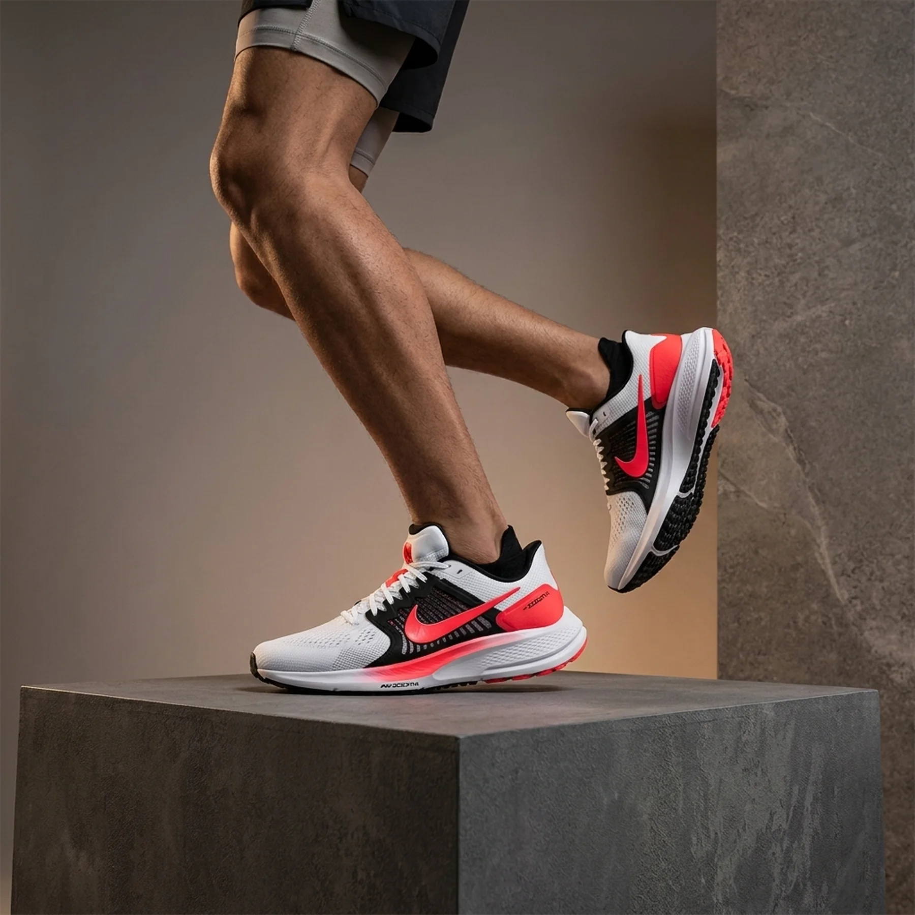 Кросівки для бігу чоловічі Nike Air Zoom Vomero 15 (CU1855-101)