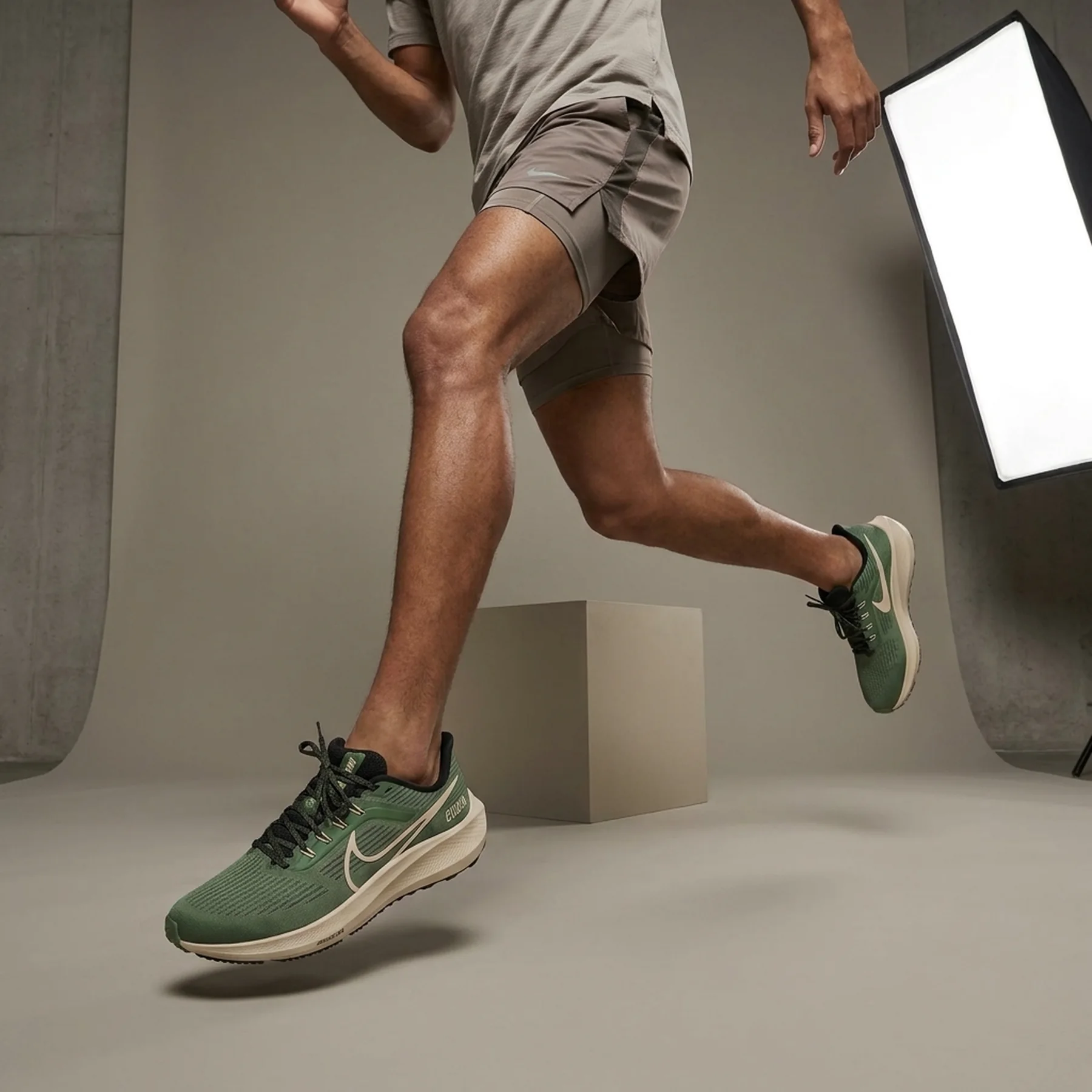 Кросівки для бігу чоловічі Nike Pegasus 39 (DZ4776-343)