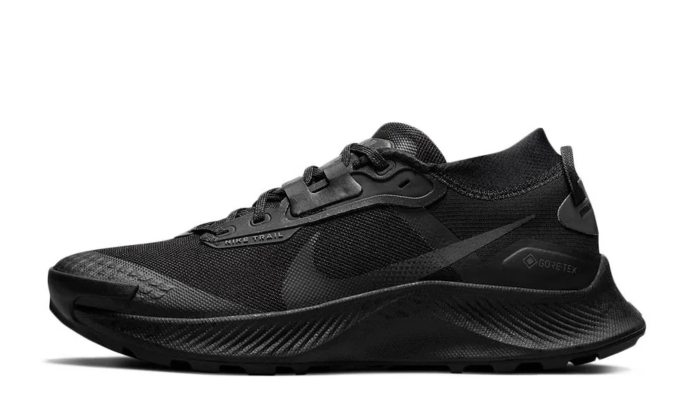 Кросівки для бігу чоловічі Nike Pegasus Trail 3 Gore-Tex (DC8793-001)