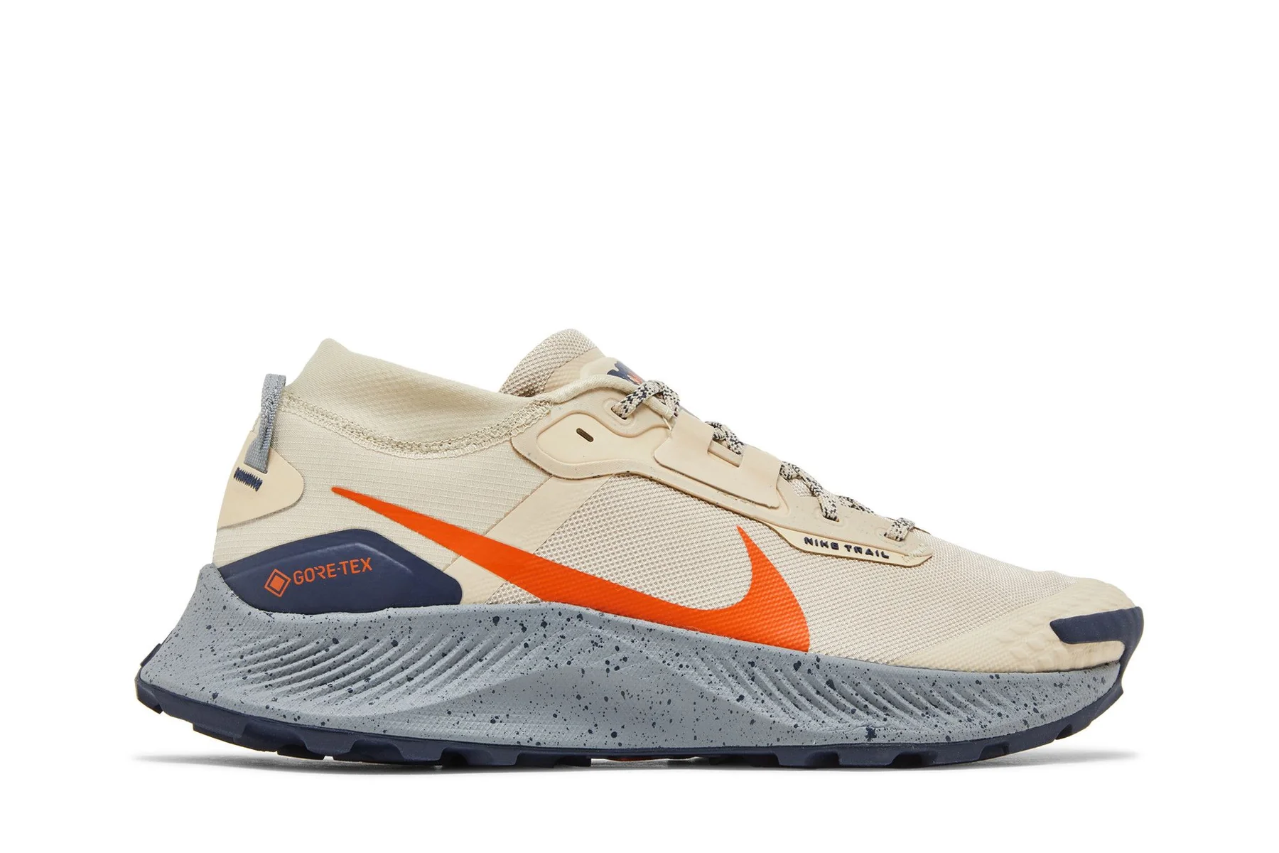 Кросівки для бігу чоловічі Nike Pegasus Trail 3 Gore-Tex (DC8793-200)