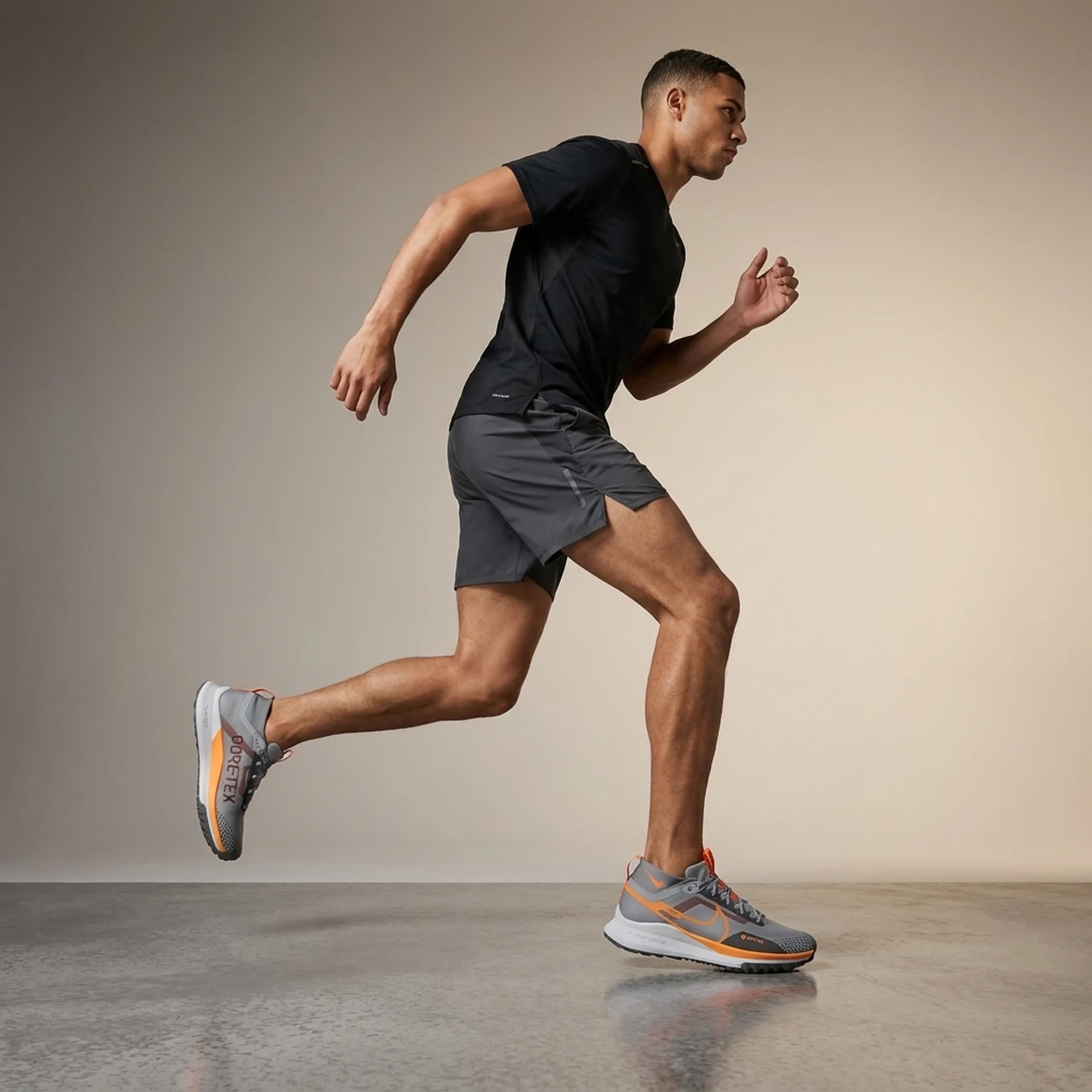 Кросівки для бігу чоловічі Nike Pegasus Trail 4 Gore-Tex (DJ7926-006)
