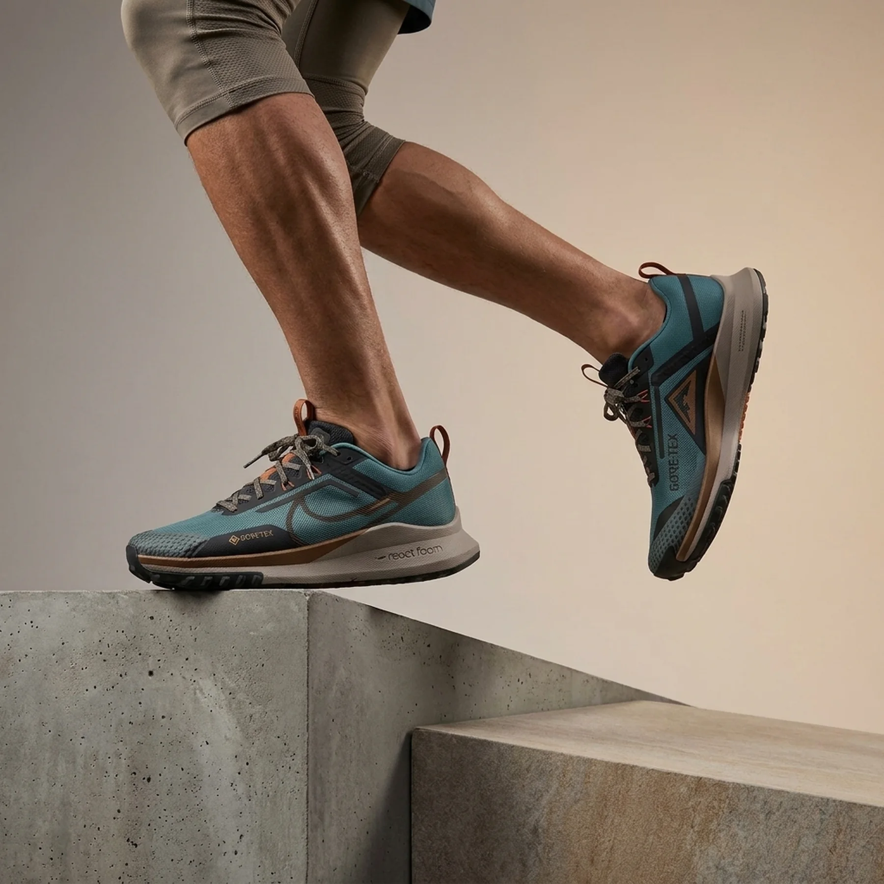 Кросівки для бігу чоловічі Nike Pegasus Trail 4 Gore-Tex (DJ7926-301)
