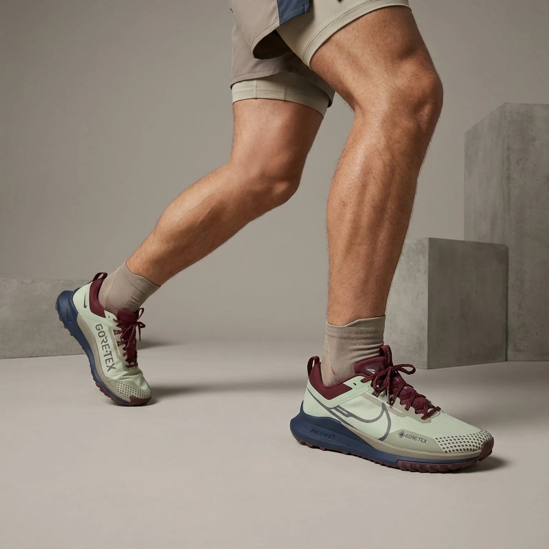 Кросівки для бігу чоловічі Nike Pegasus Trail 4 Gore-Tex (DJ7926-303)