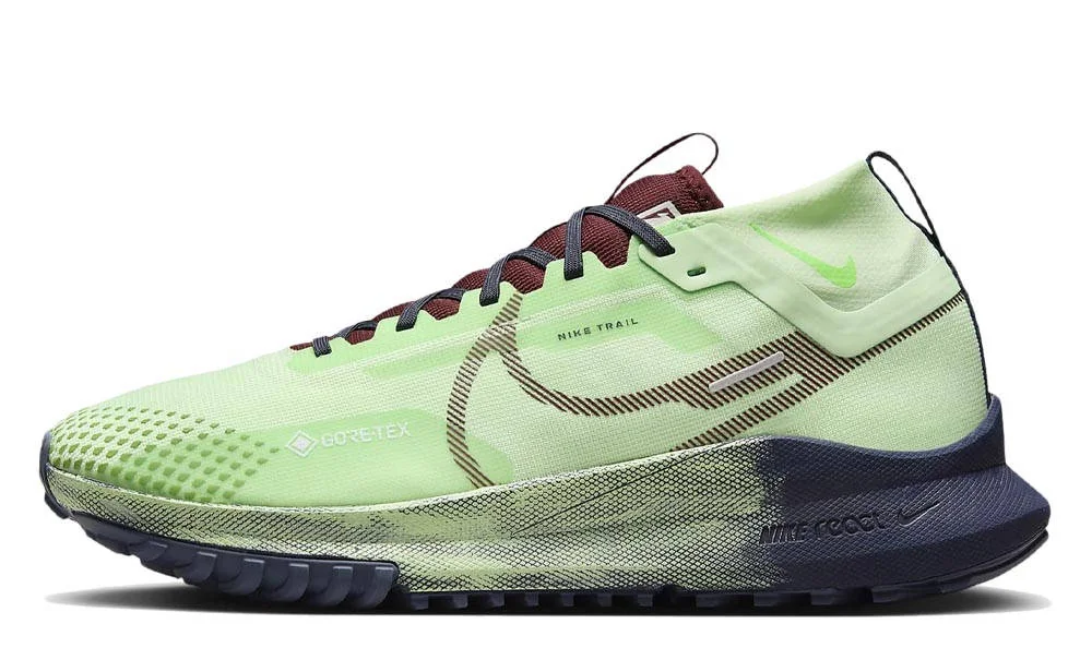 Кросівки для бігу чоловічі Nike Pegasus Trail 4 Gore-Tex (DJ7926-303)