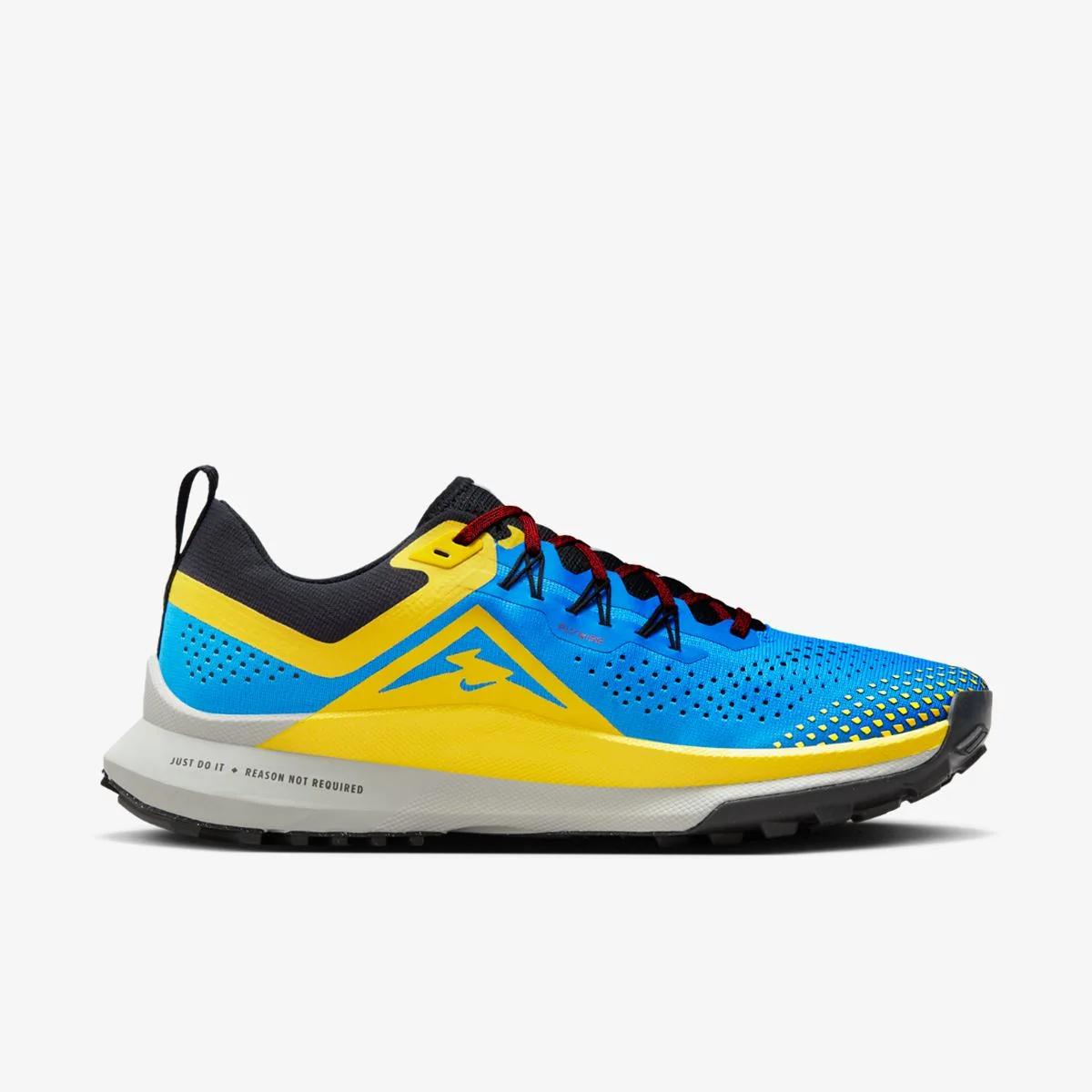 Кросівки для бігу чоловічі Nike Pegasus Trail (DJ6158-401)