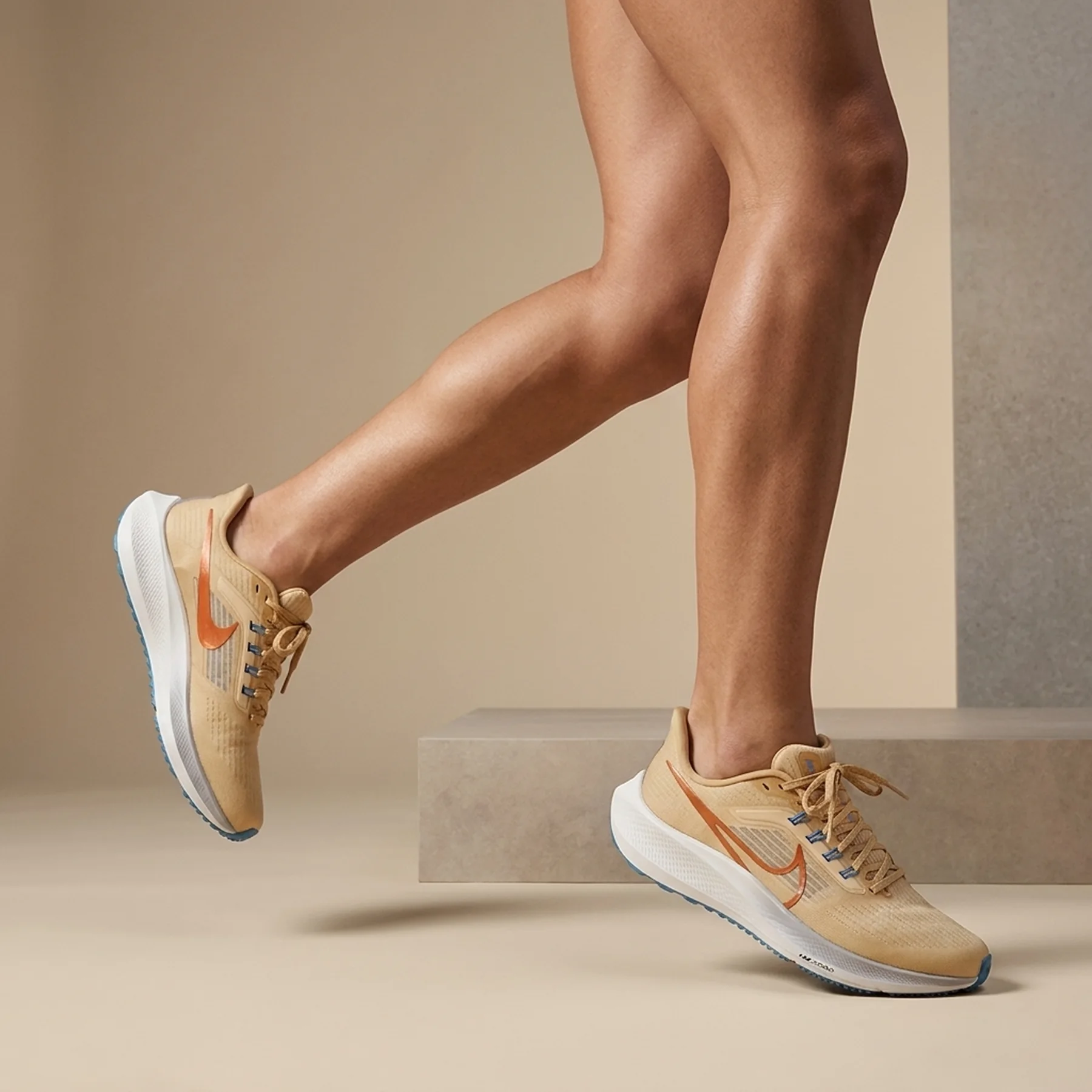 Кросівки для бігу жіночі Nike Air Zoom Pegasus 39 (DX1826-200)