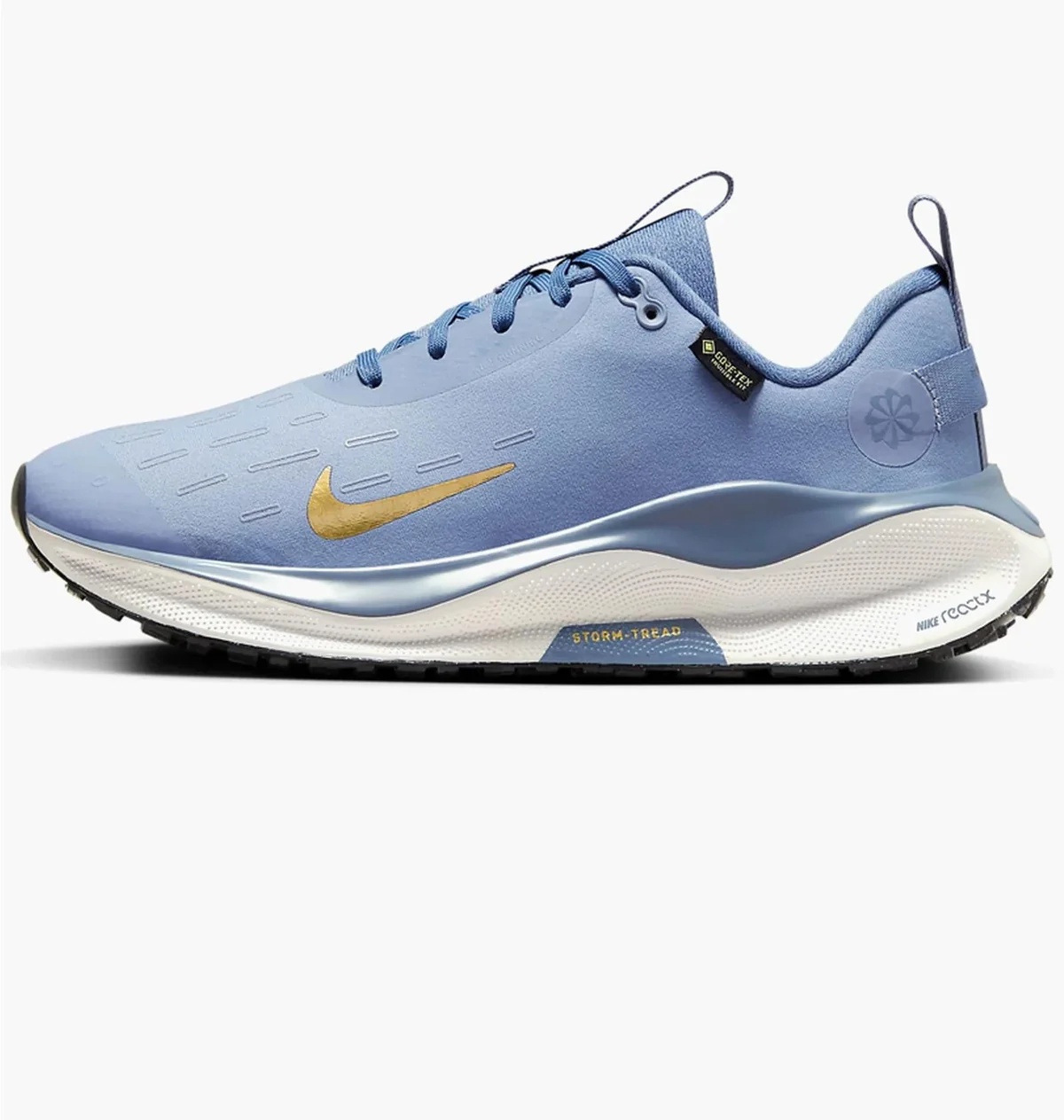 Кросівки для бігу жіночі Nike Infinity Run 4 Running Shoes Gore-Tex (FB2197-400)