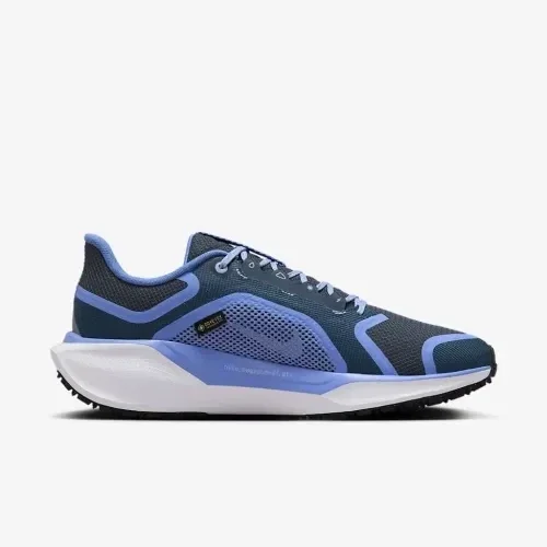 Кросівки для бігу жіночі Nike Pegasus 41 Gtx (FQ1357-400)