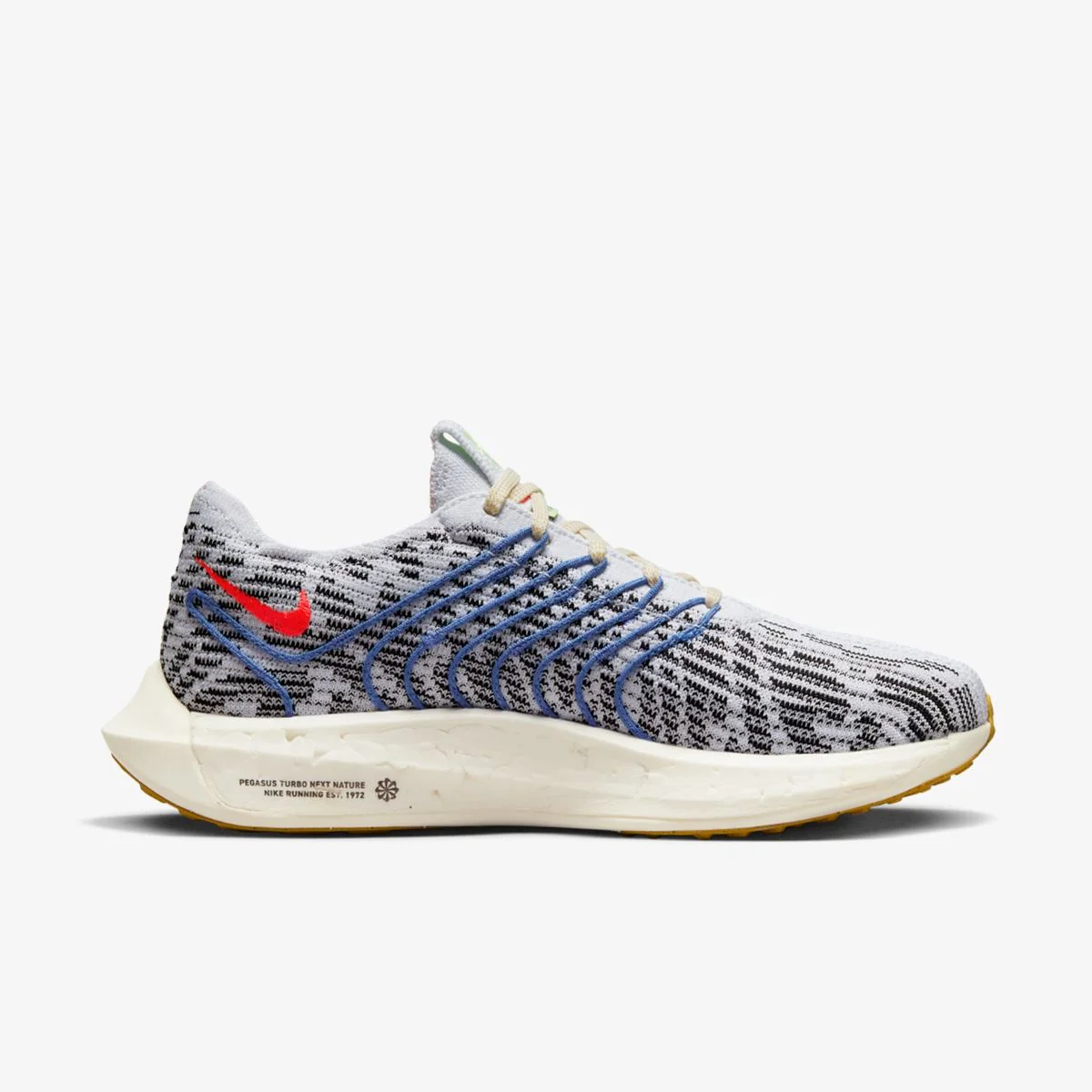 Кросівки для бігу жіночі Nike Pegasus Turbo Next Nature (DM3414-002)