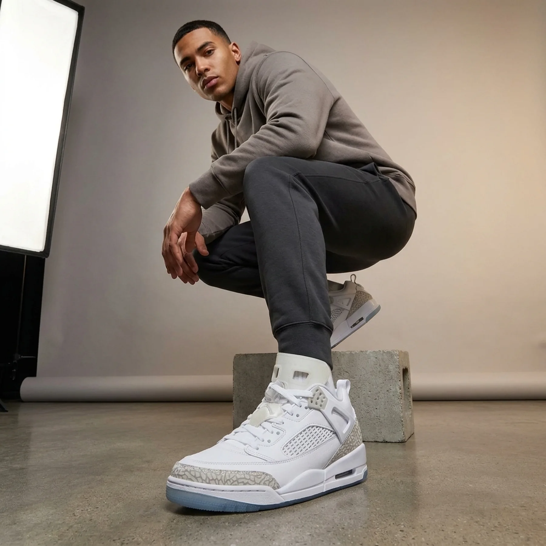 Кросівки Jordan Spizike