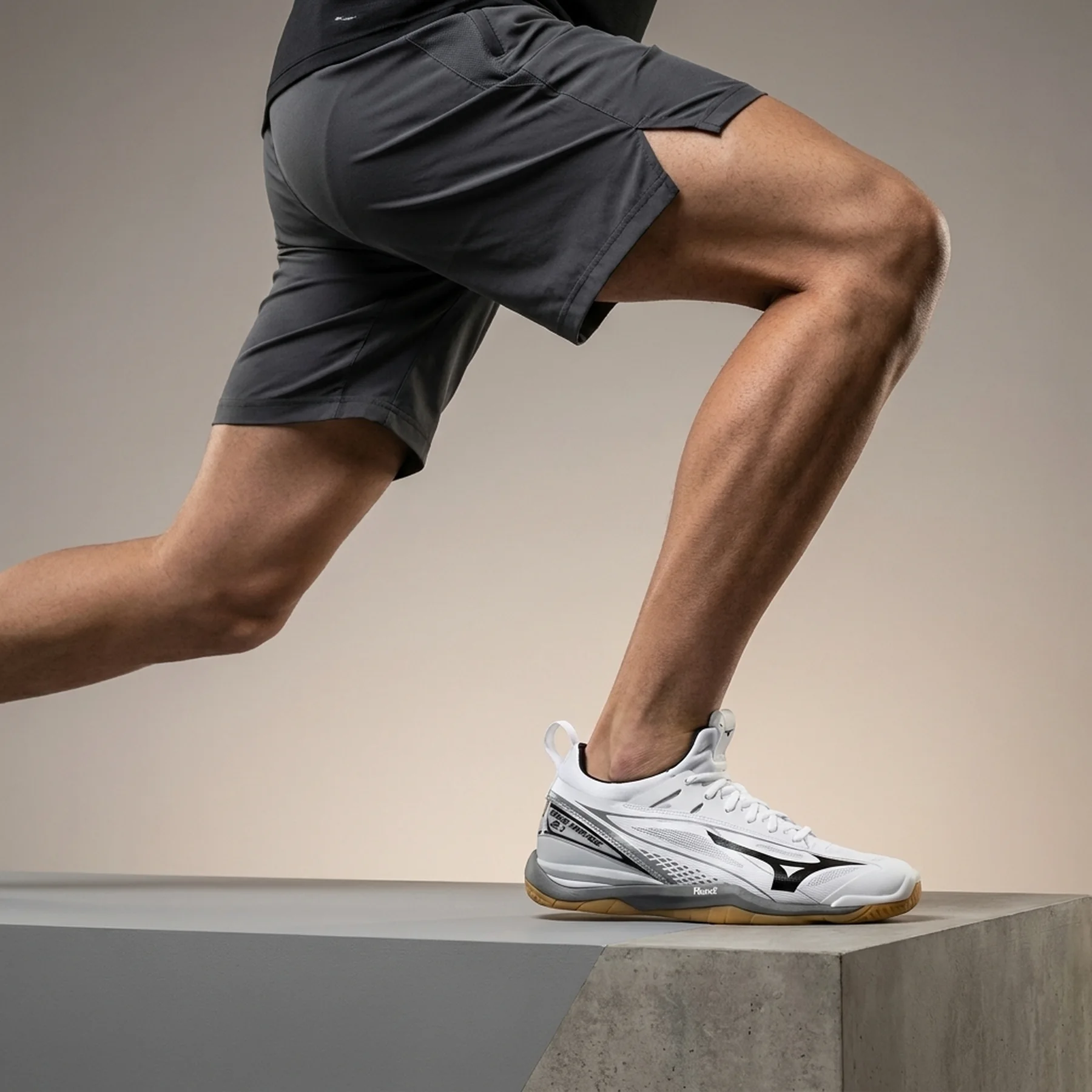 Кросівки MIZUNO WAVE MIRAGE 2.1