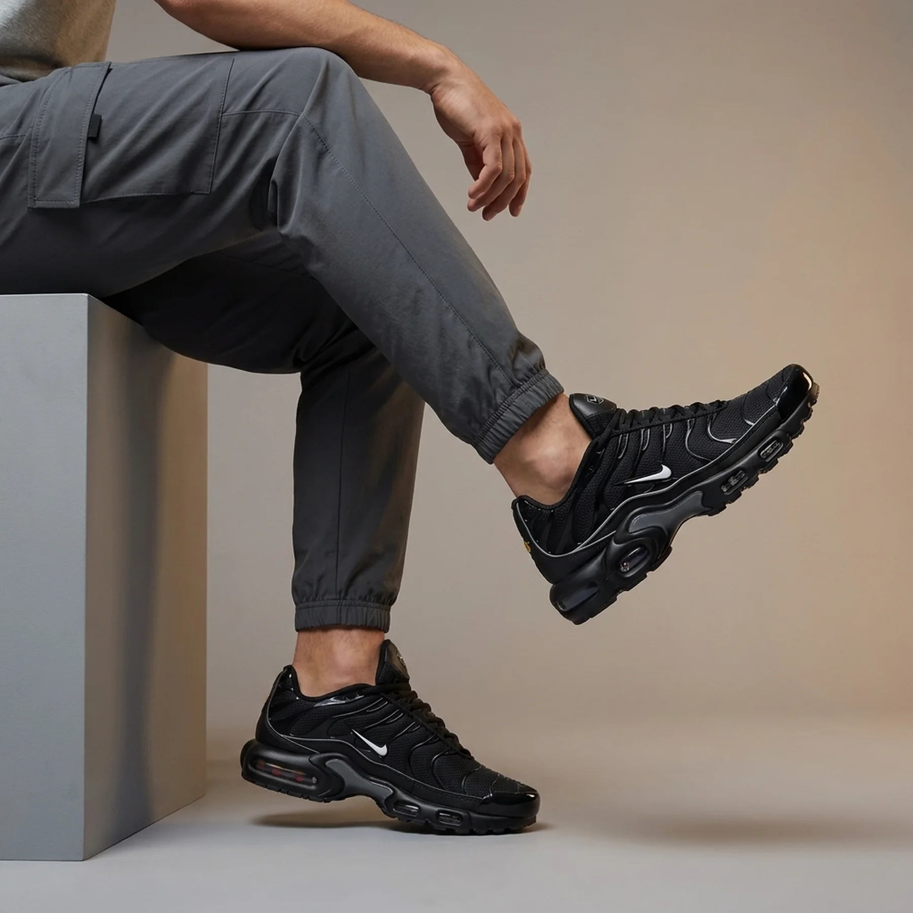 Кросівки Nike Air Max Plus TN