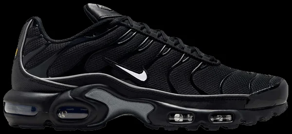 Кросівки Nike Air Max Plus TN