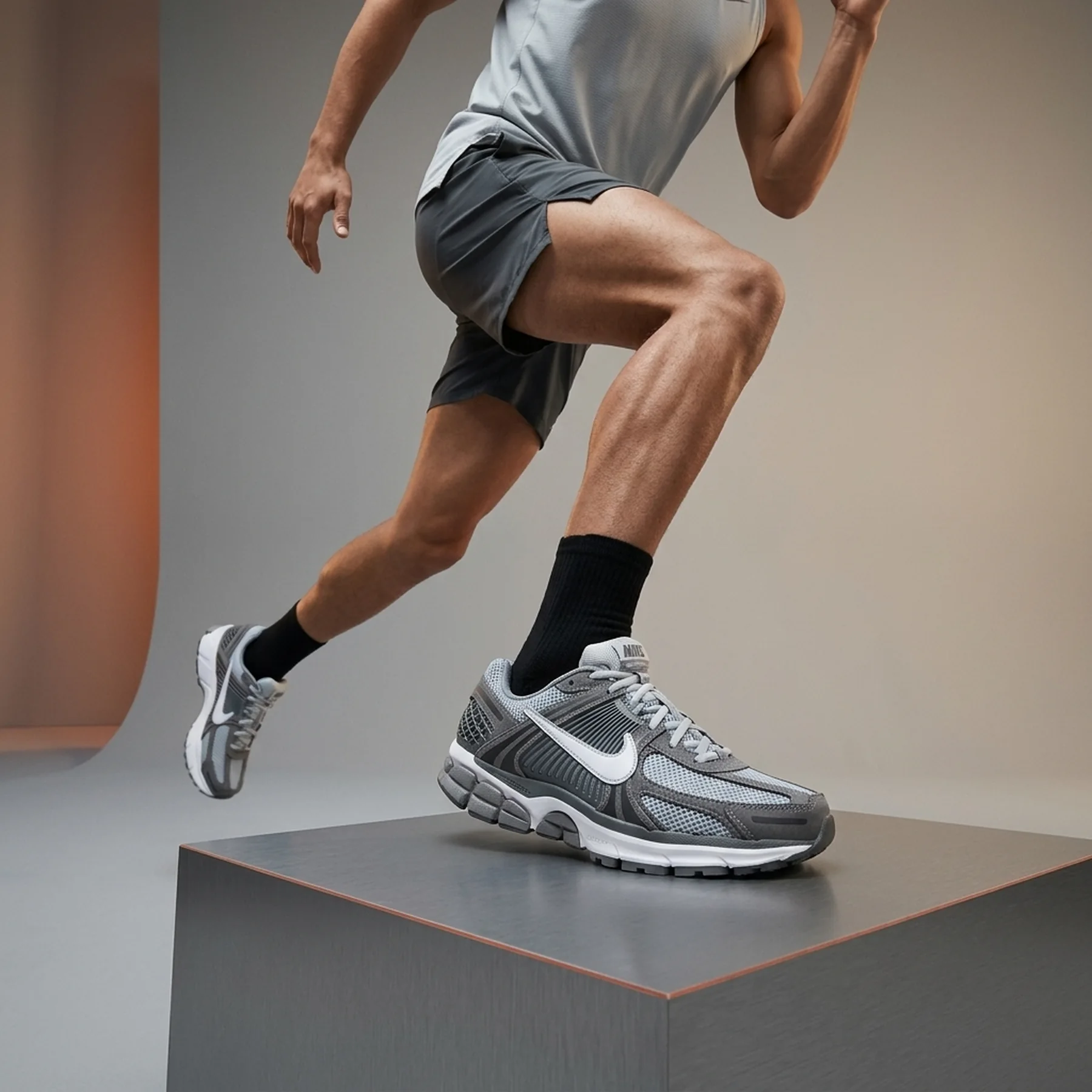 Кросівки Nike Air Zoom Vomero 5 'Cool Grey'